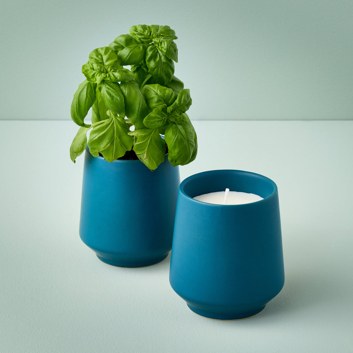 Modern Sprout Rooted Candles Basil & Jasmine 1pk | Heirloom Boulevard