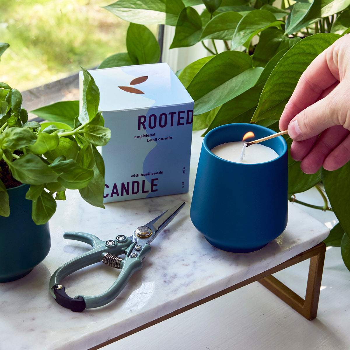 Modern Sprout Rooted Candles | Heirloom Boulevard