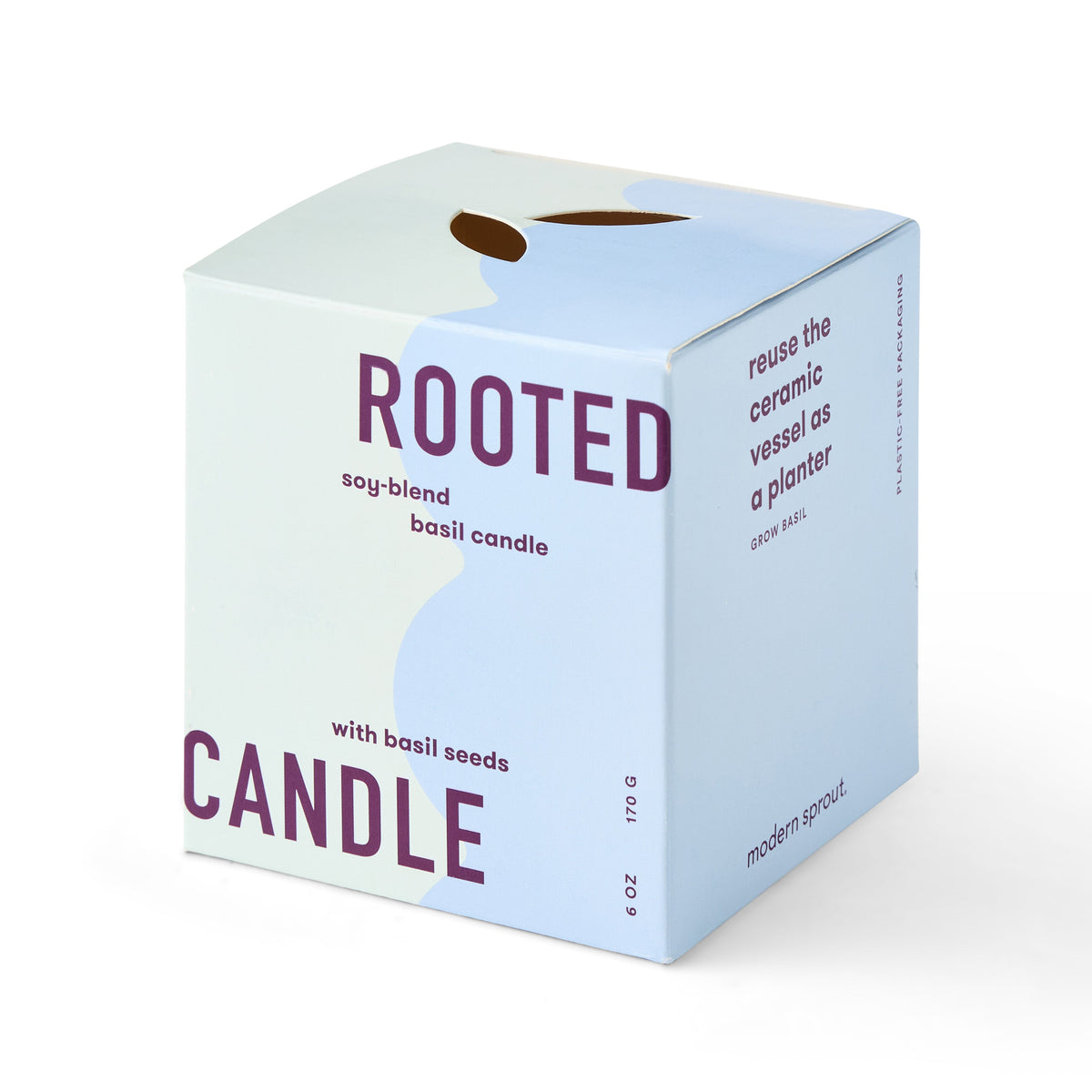 Modern Sprout Rooted Candles | Heirloom Boulevard