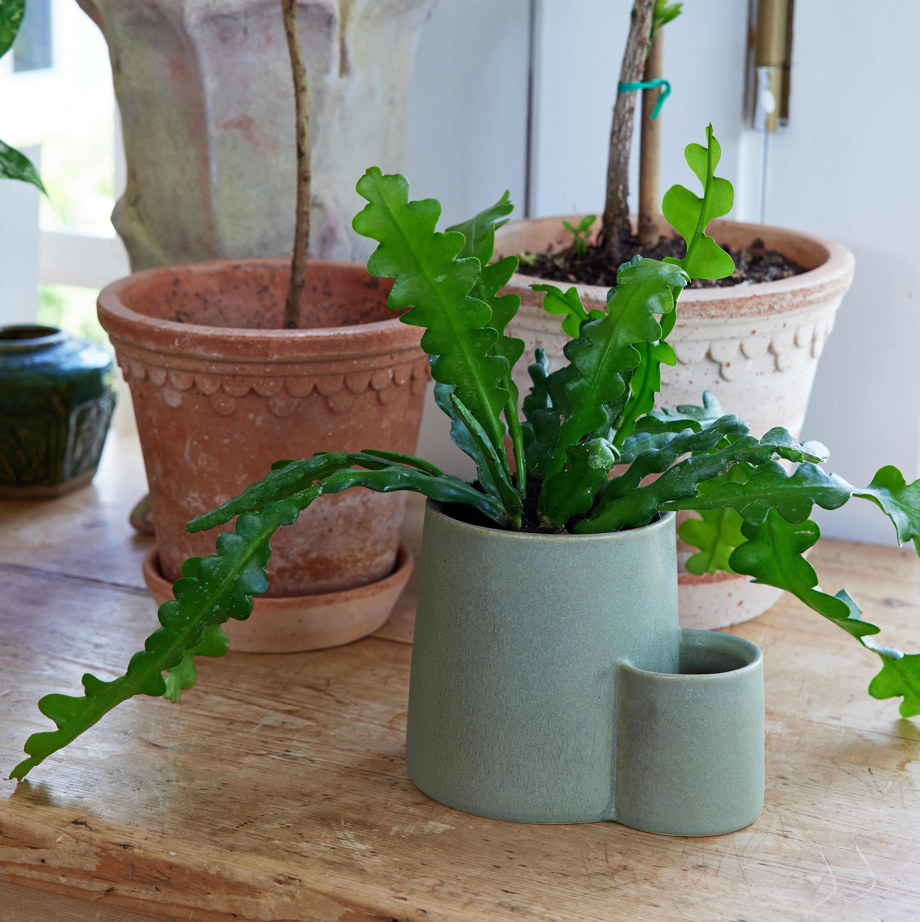 Modern Sprout Ember Earth Candle + Planter | Heirloom Boulevard