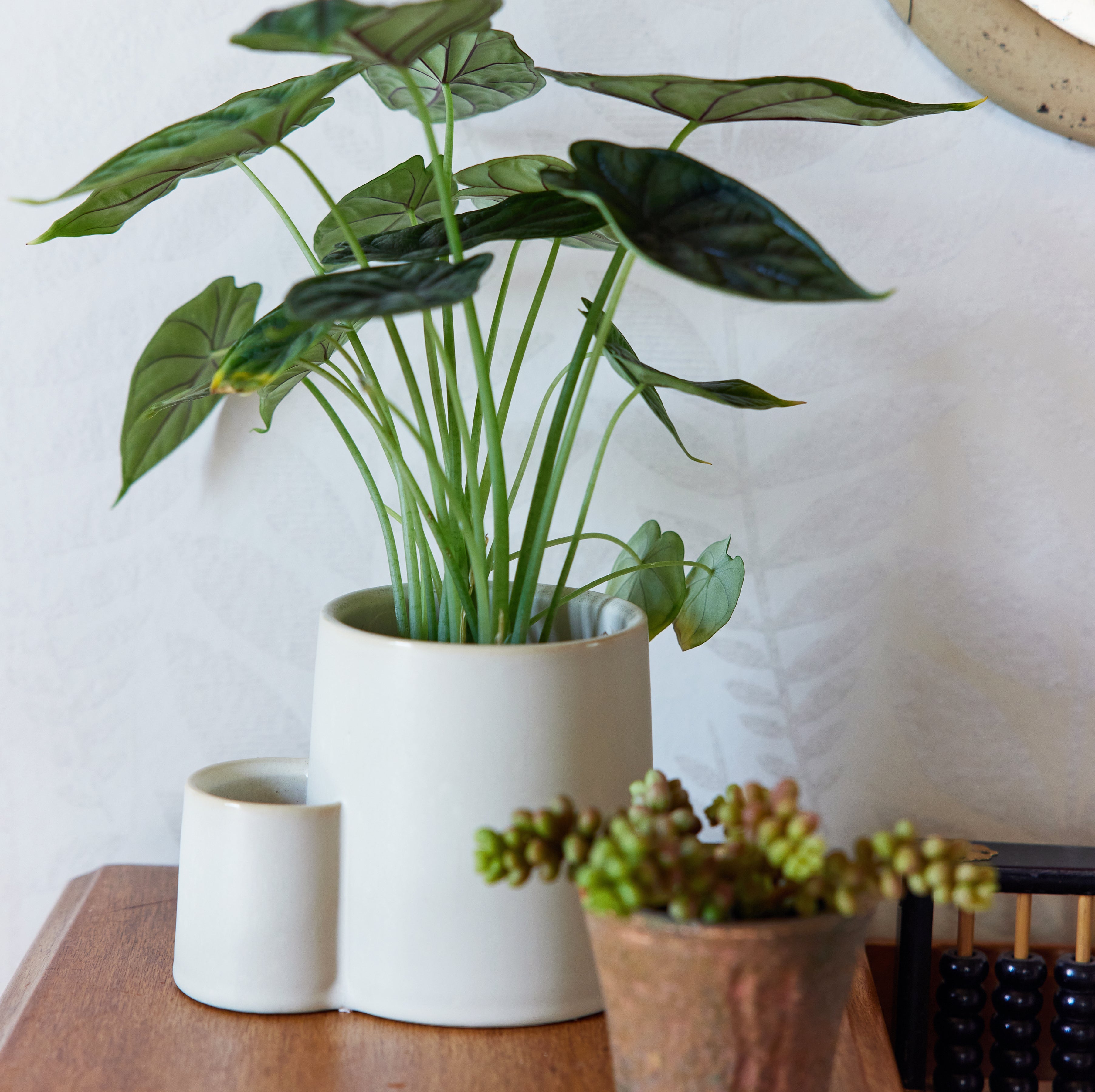 Modern Sprout Ember Earth Candle + Planter | Heirloom Boulevard