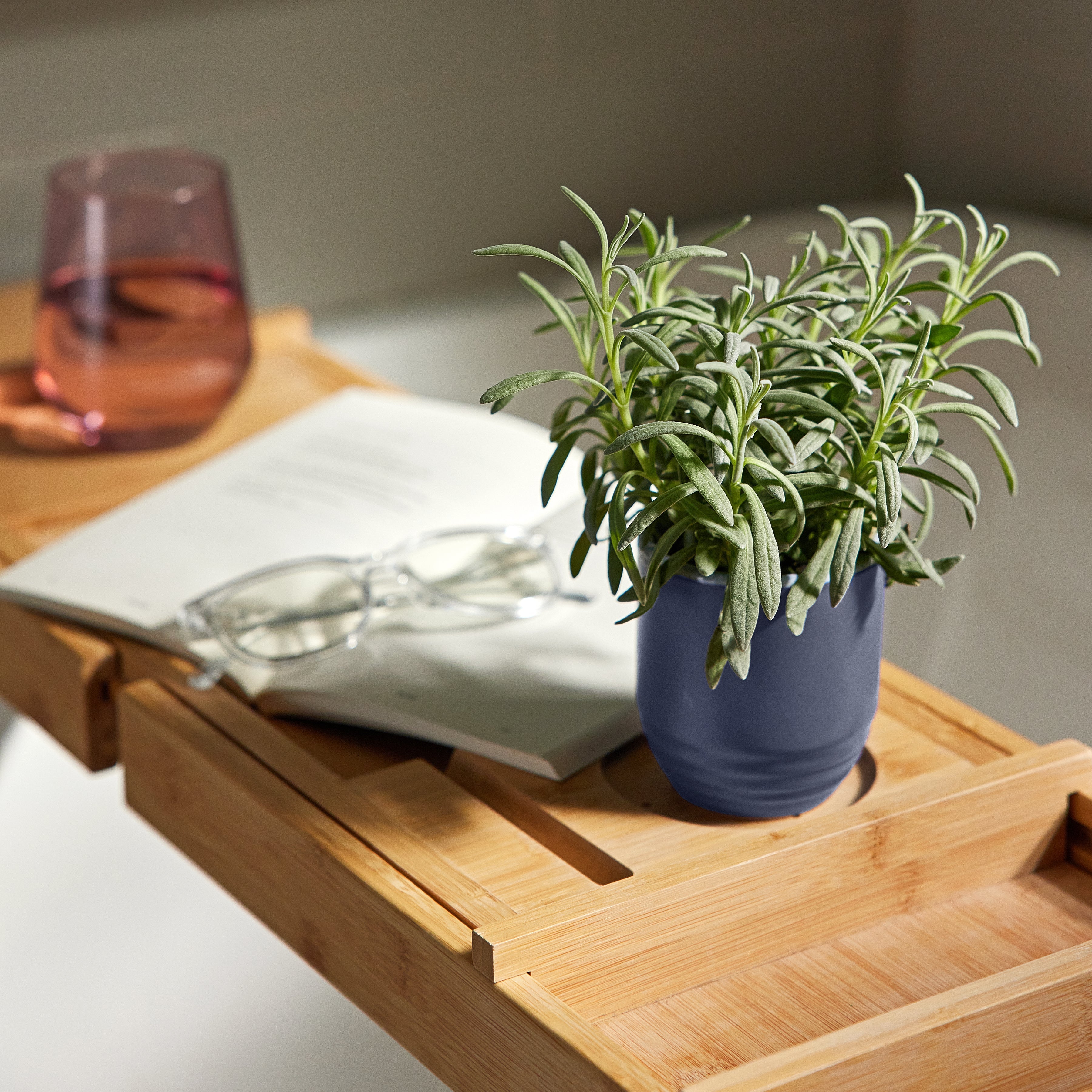 Modern Sprout Garden Vibes Candle/Planter 2-in-1