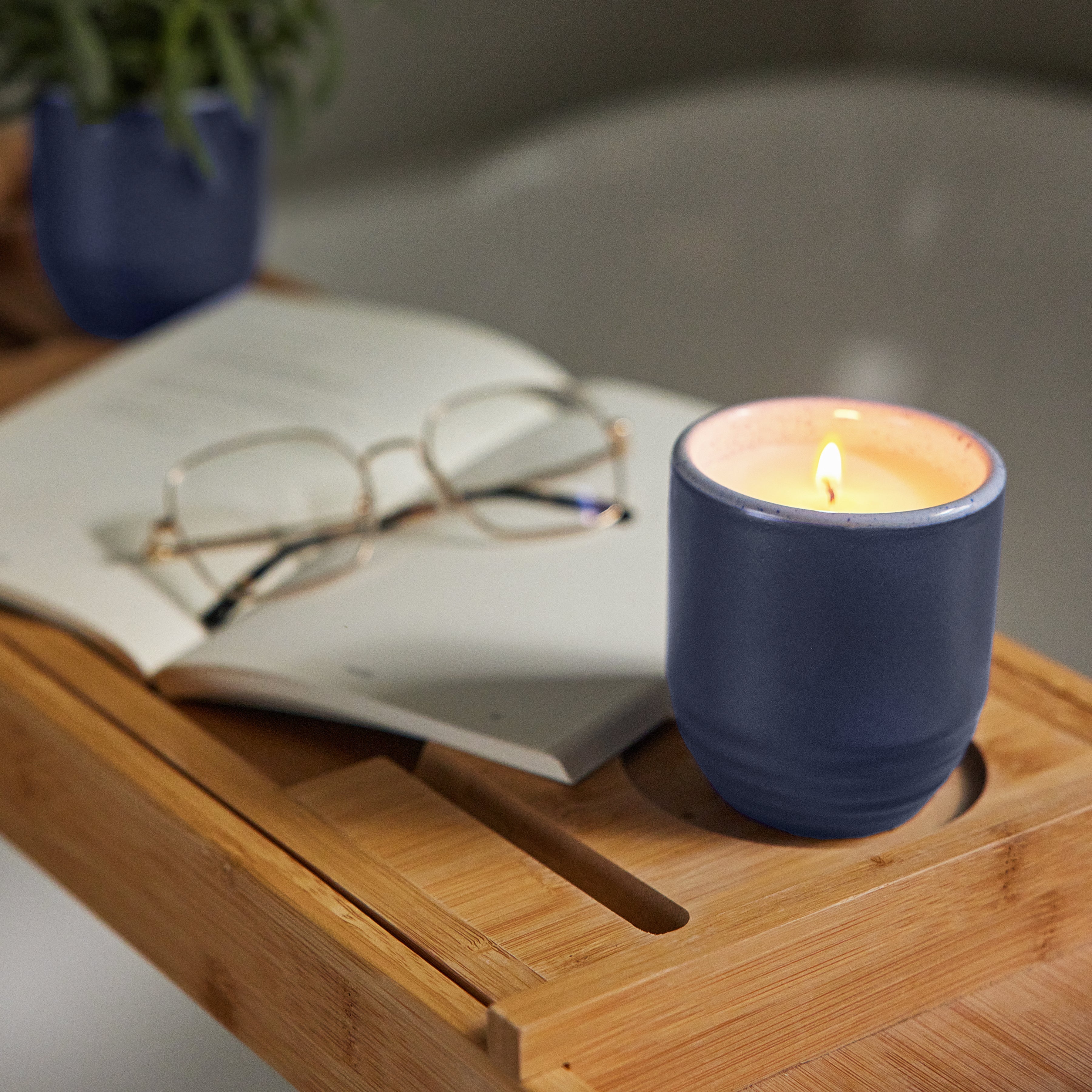 Modern Sprout Garden Vibes Candle/Planter 2-in-1