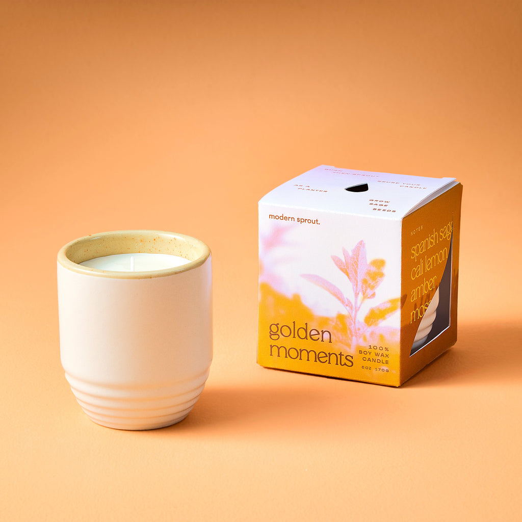 Modern Sprout Garden Vibes Candle/Planter 2-in-1