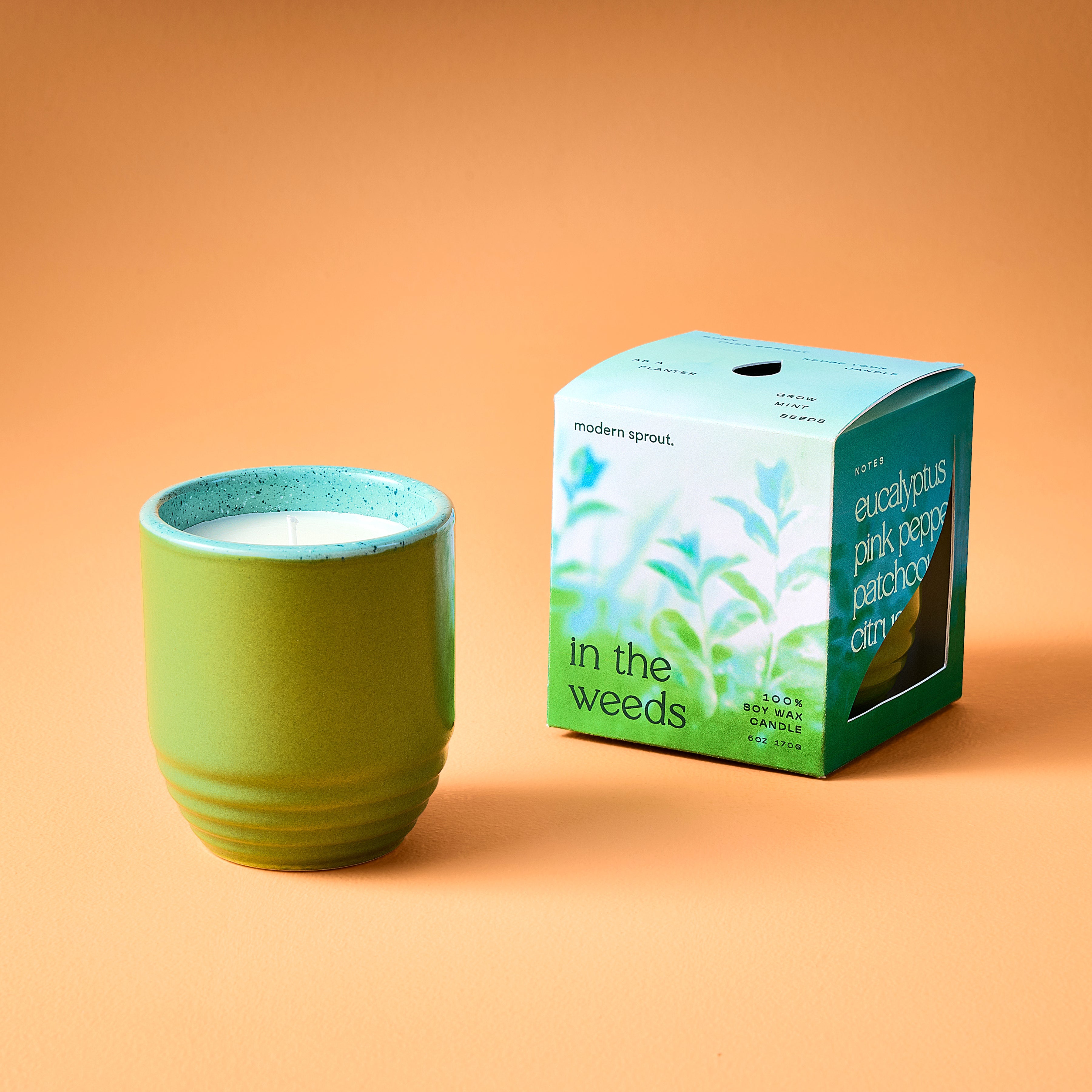 Modern Sprout Garden Vibes Candle/Planter 2-in-1