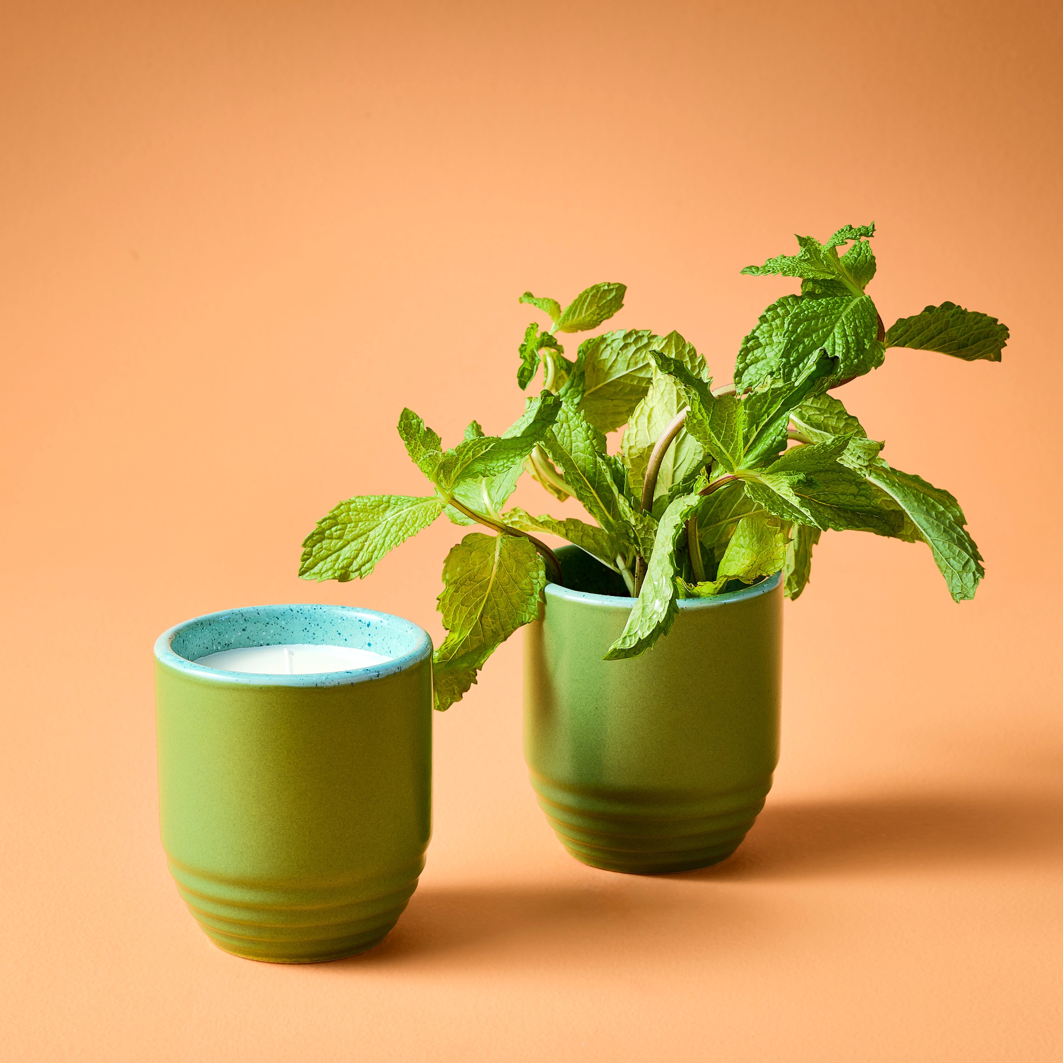 Modern Sprout Garden Vibes Candle/Planter 2-in-1