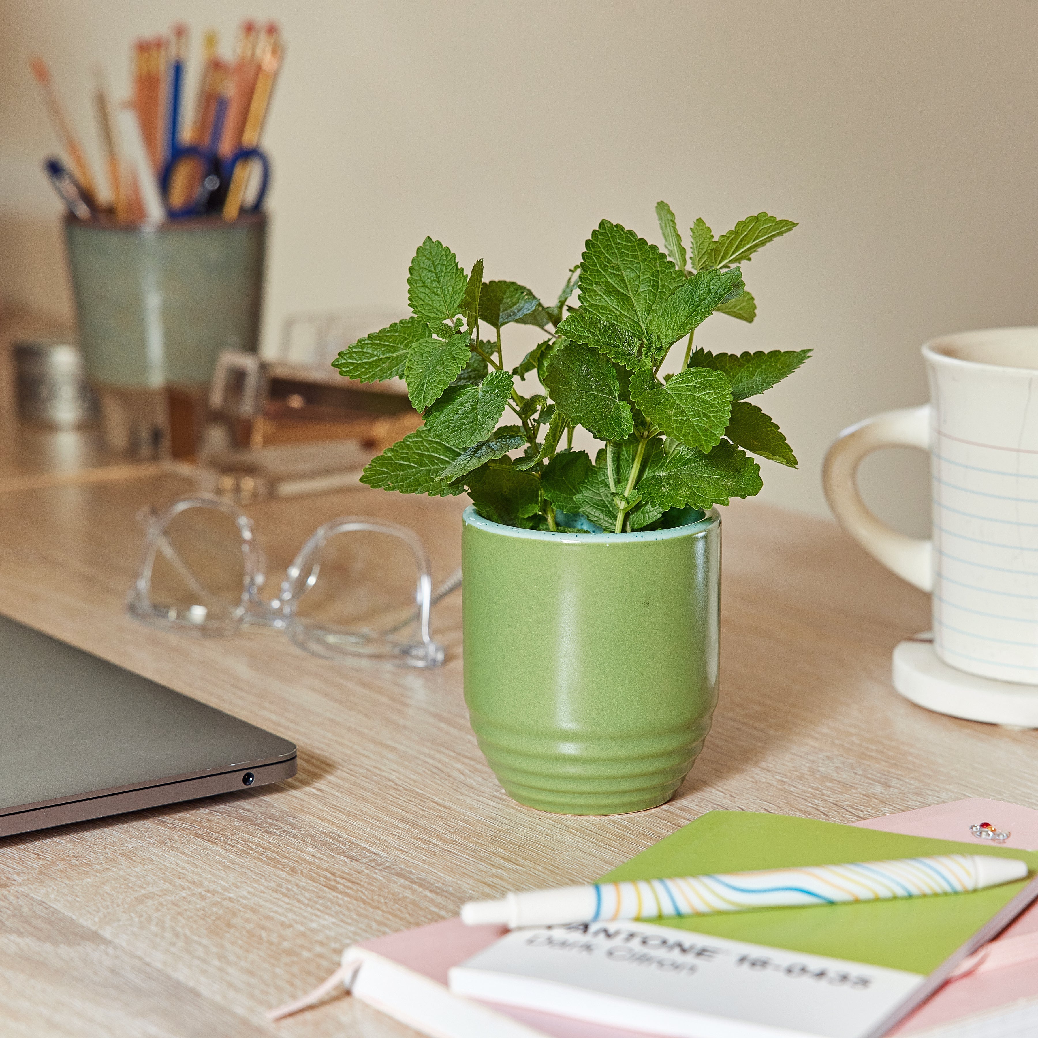 Modern Sprout Garden Vibes Candle/Planter 2-in-1
