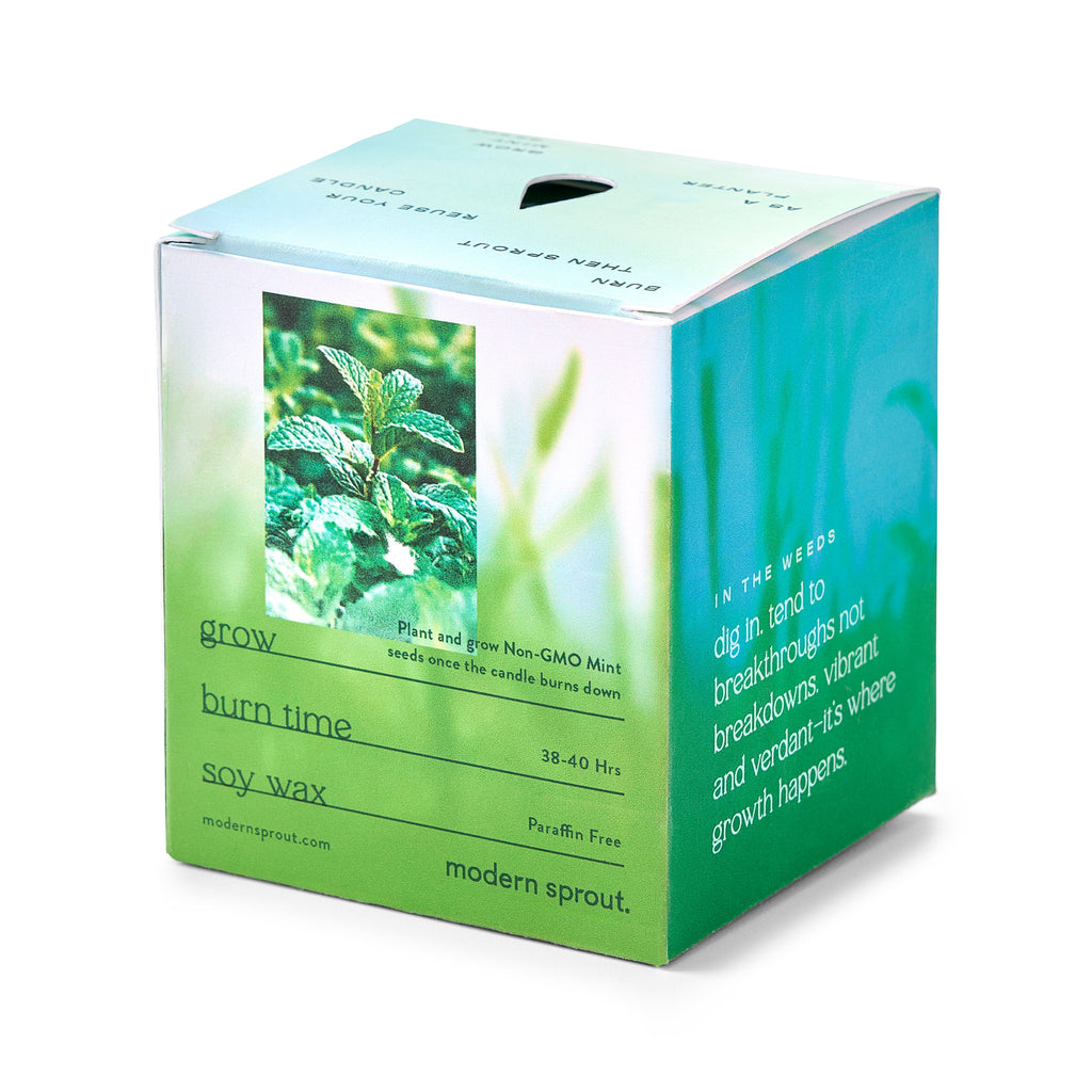 Modern Sprout Garden Vibes Candle/Planter 2-in-1 | Heirloom Boulevard