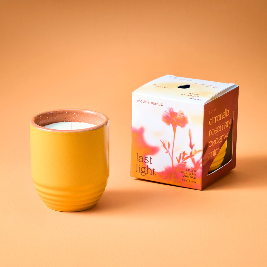 Modern Sprout Garden Vibes Candle/Planter 2-in-1