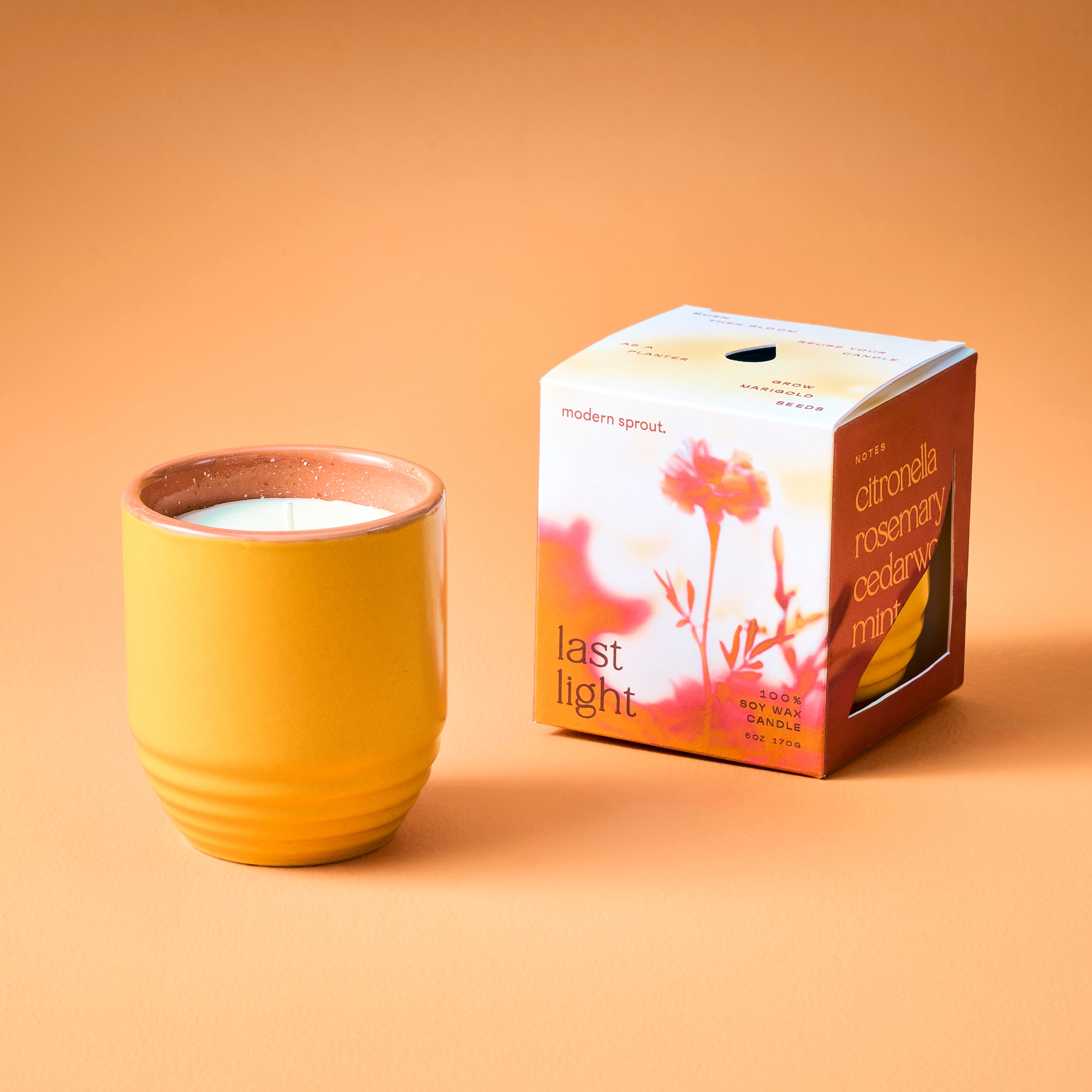 Modern Sprout Garden Vibes Candle/Planter 2-in-1