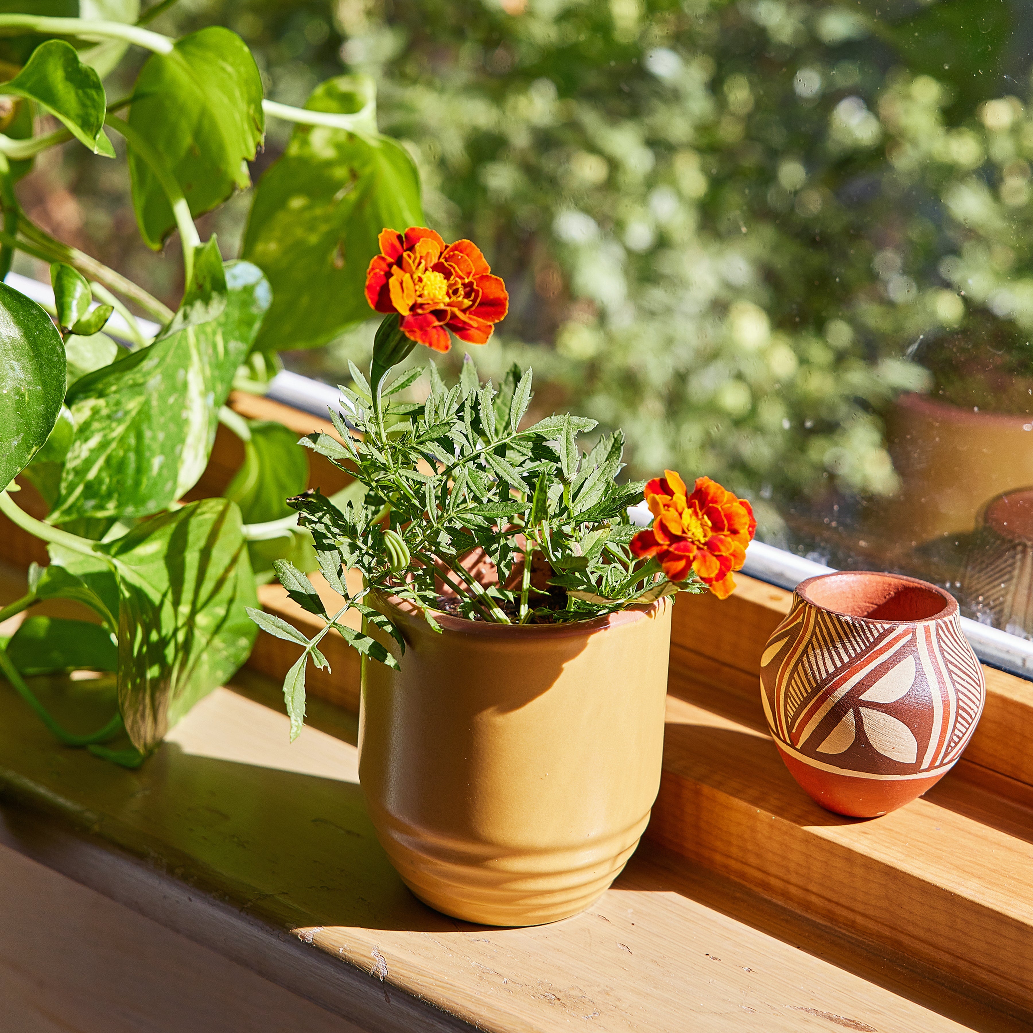 Modern Sprout Garden Vibes Candle/Planter 2-in-1