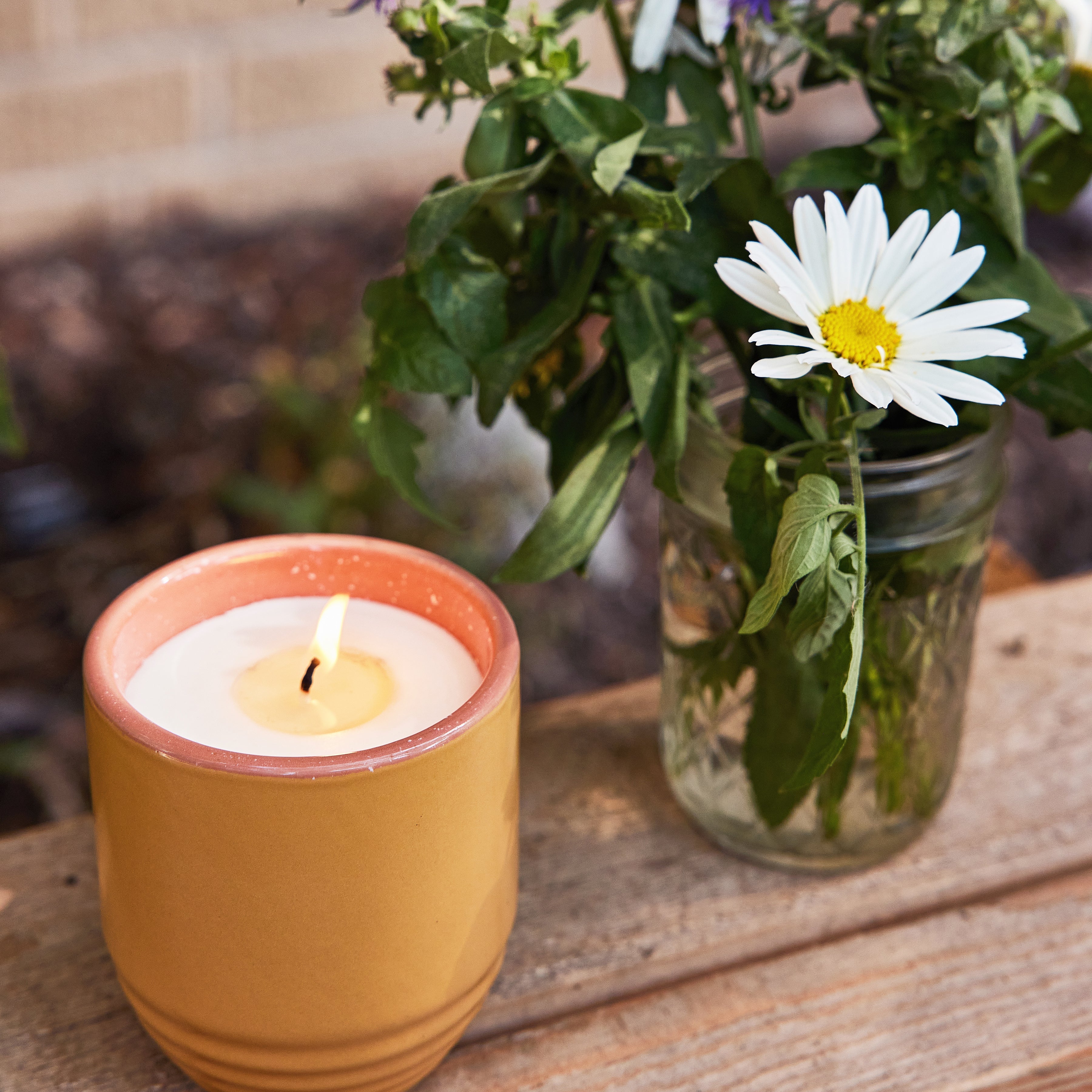 Modern Sprout Garden Vibes Candle/Planter 2-in-1