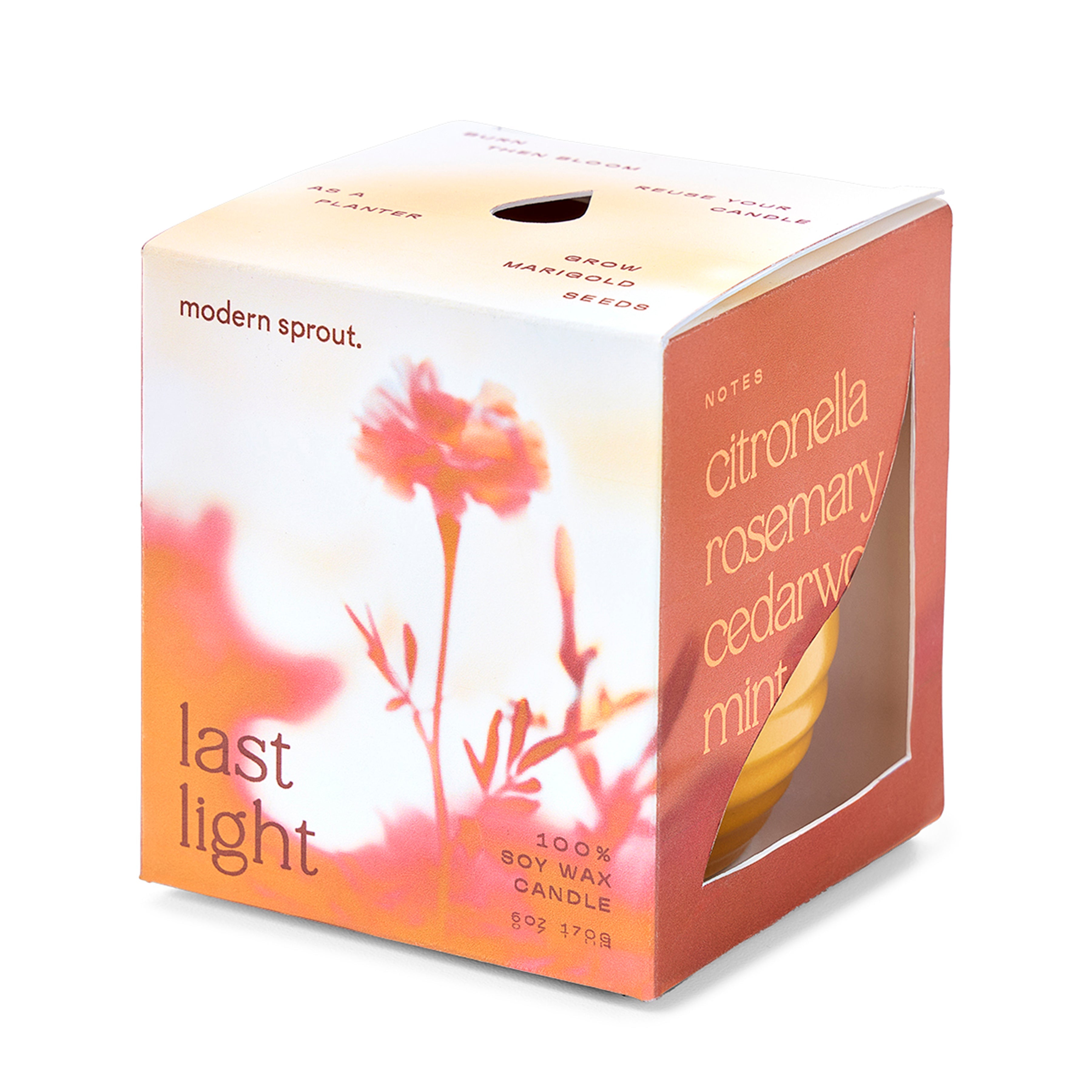 Modern Sprout Garden Vibes Candle/Planter 2-in-1