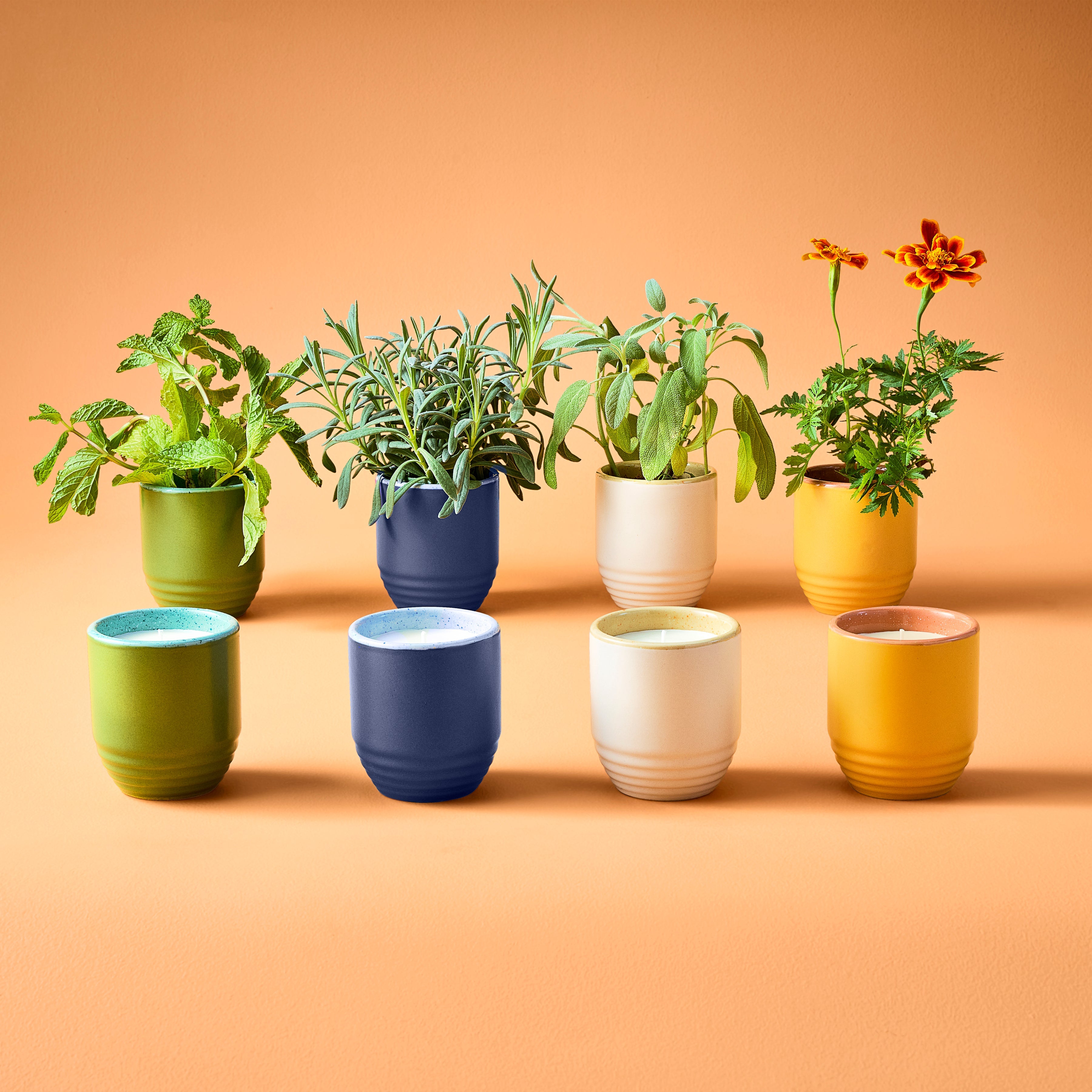 Modern Sprout Garden Vibes Candle/Planter 2-in-1