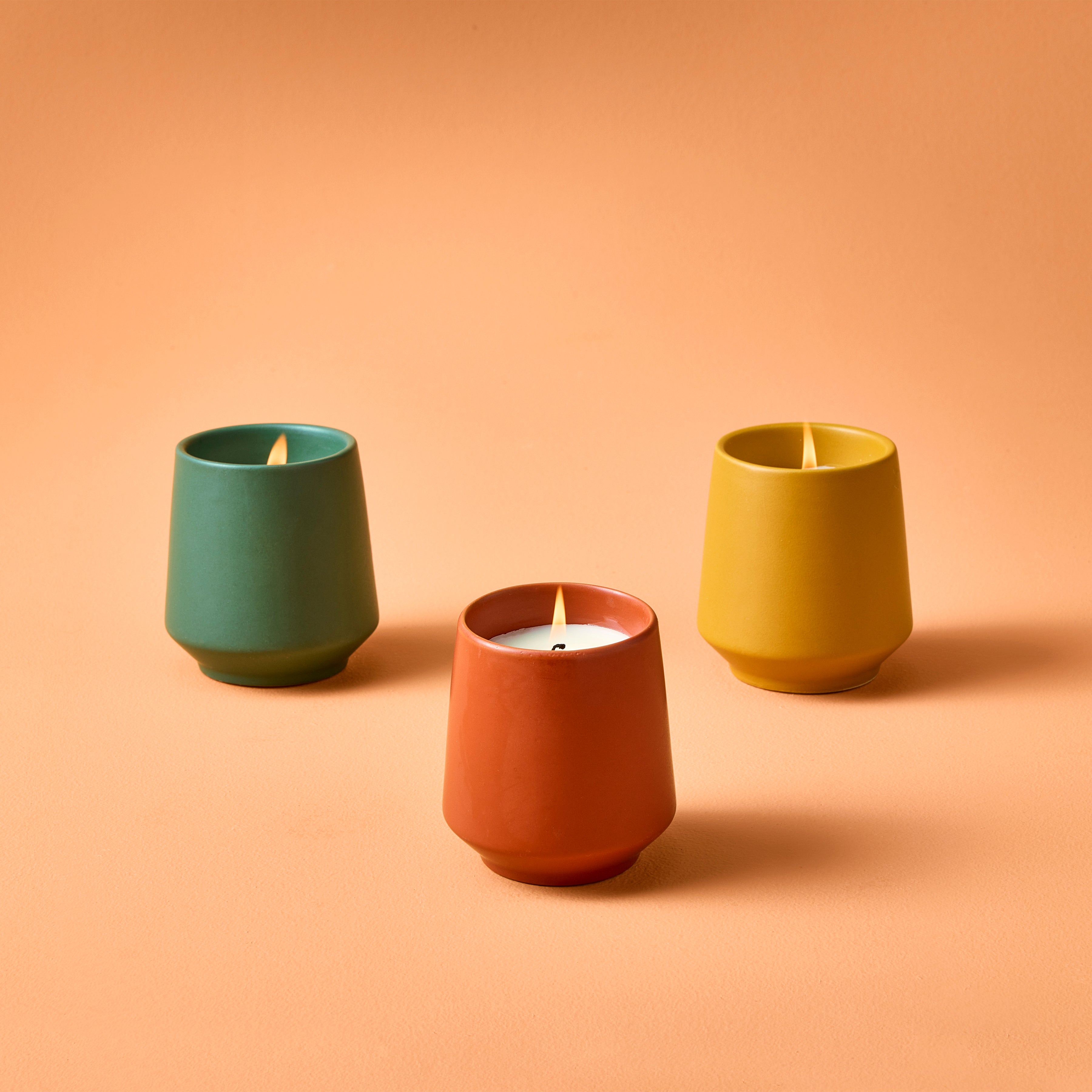 Modern Sprout Rooted Candles