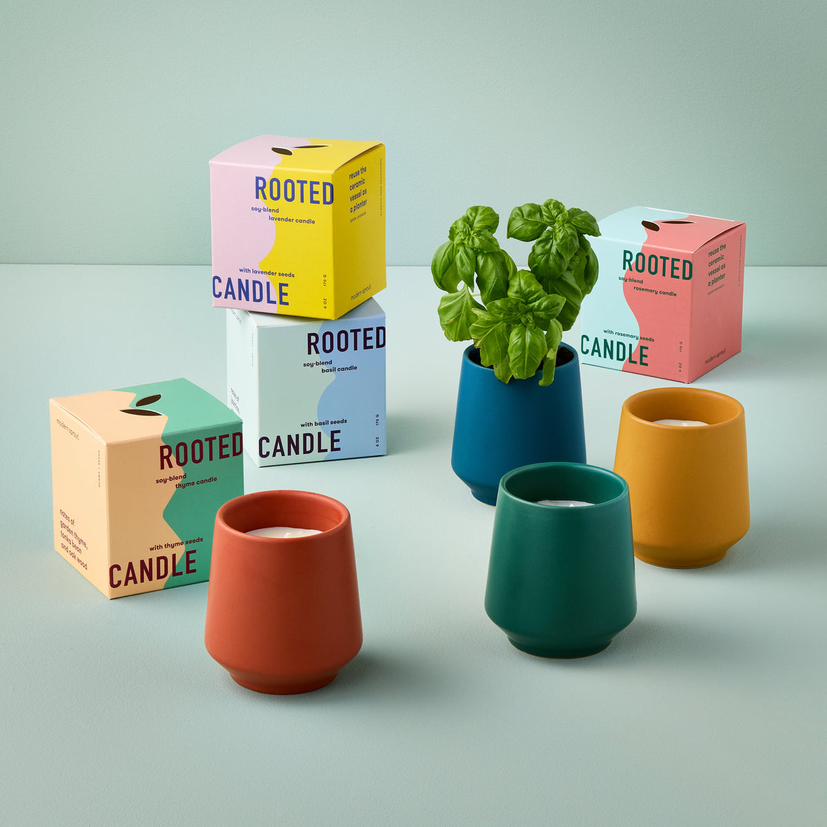 Modern Sprout Rooted Candles | Heirloom Boulevard