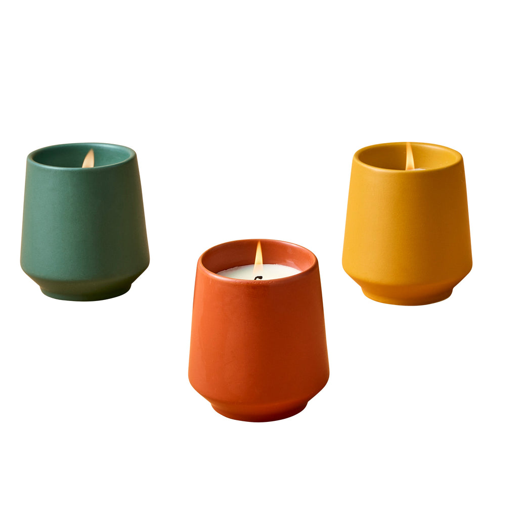 Modern Sprout Rooted Candles Mixed 3pk | Heirloom Boulevard