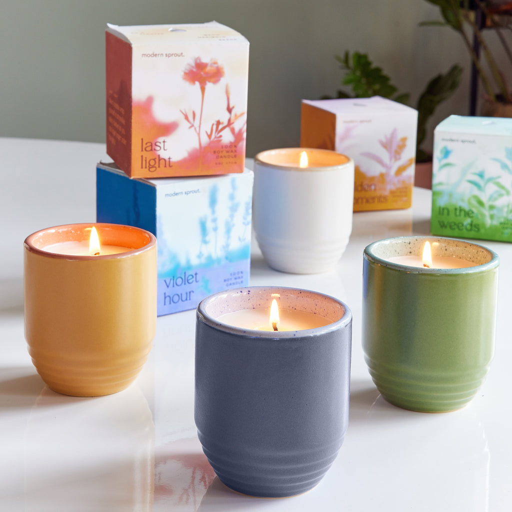 Modern Sprout Garden Vibes Candle/Planter 2-in-1