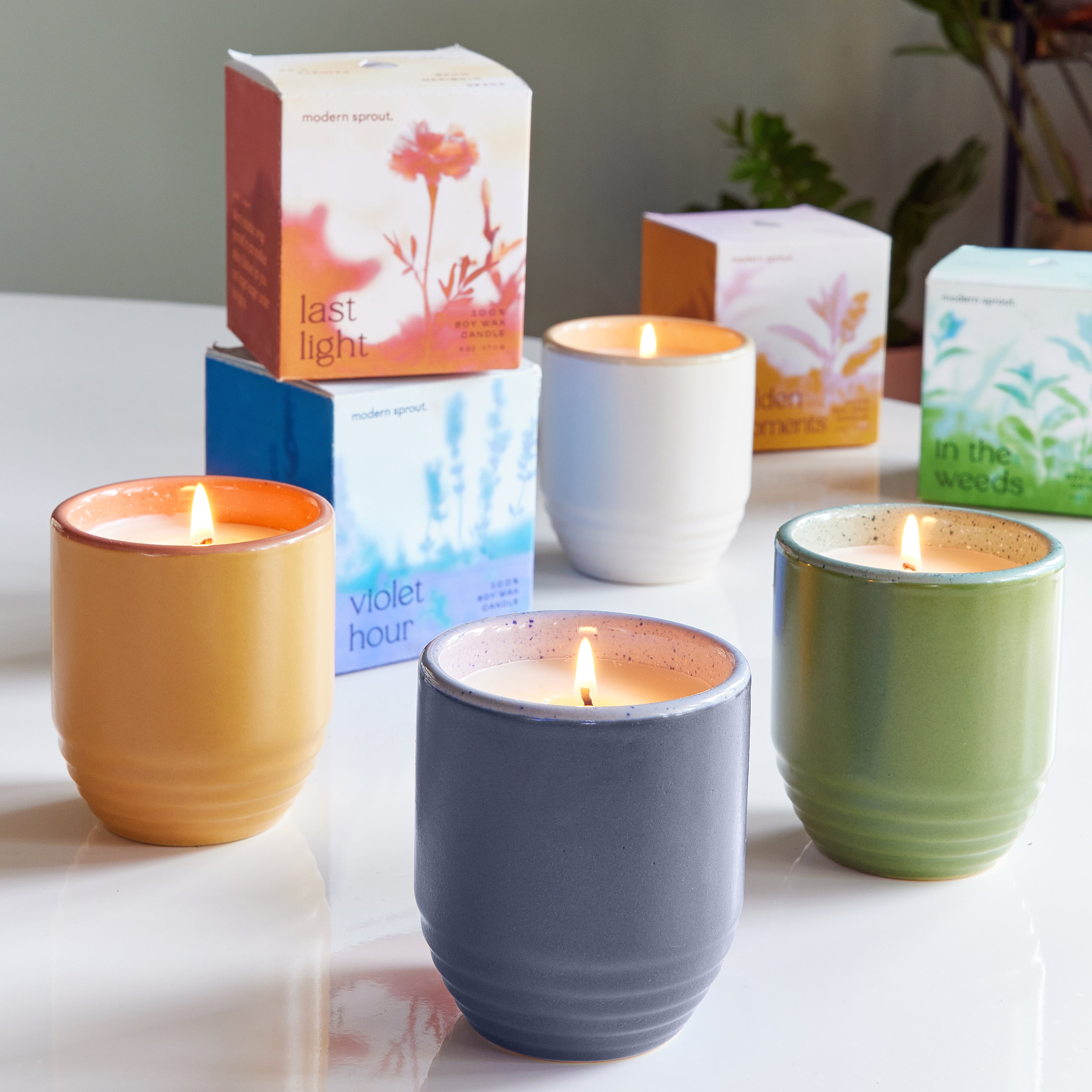 Modern Sprout Garden Vibes Candle/Planter 2-in-1