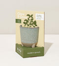 Modern Sprout Glow & Grow Kits Glow and Grow - Herb Garden | Heirloom Boulevard