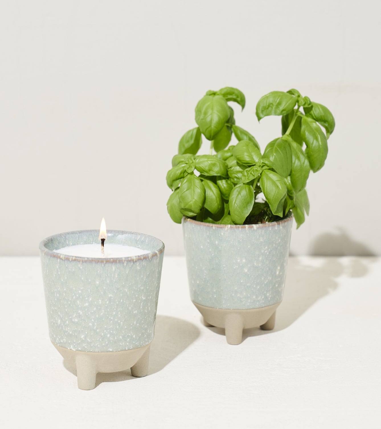 Modern Sprout Glow & Grow Kits