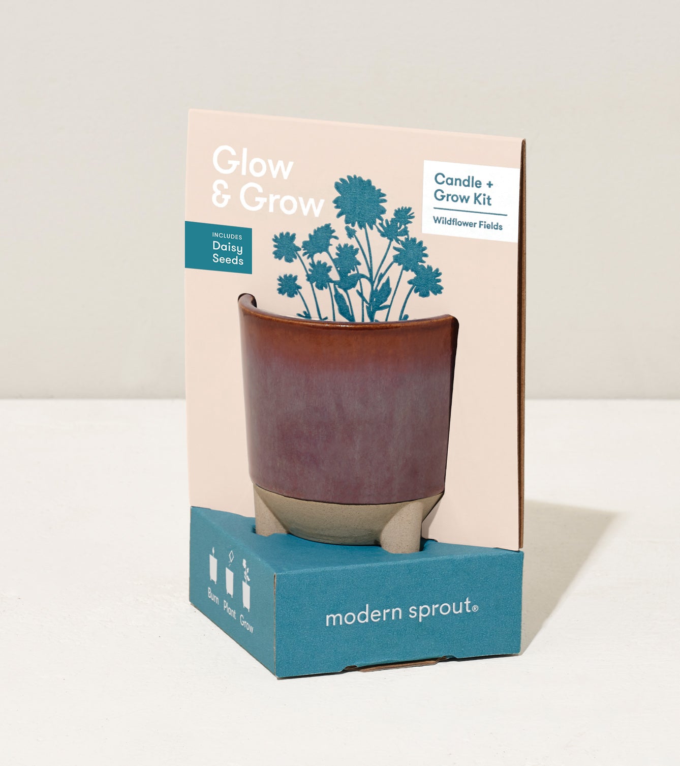 Modern Sprout Glow & Grow Kits