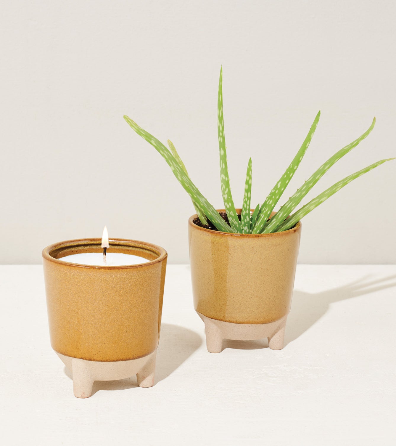 Modern Sprout Glow & Grow Kits