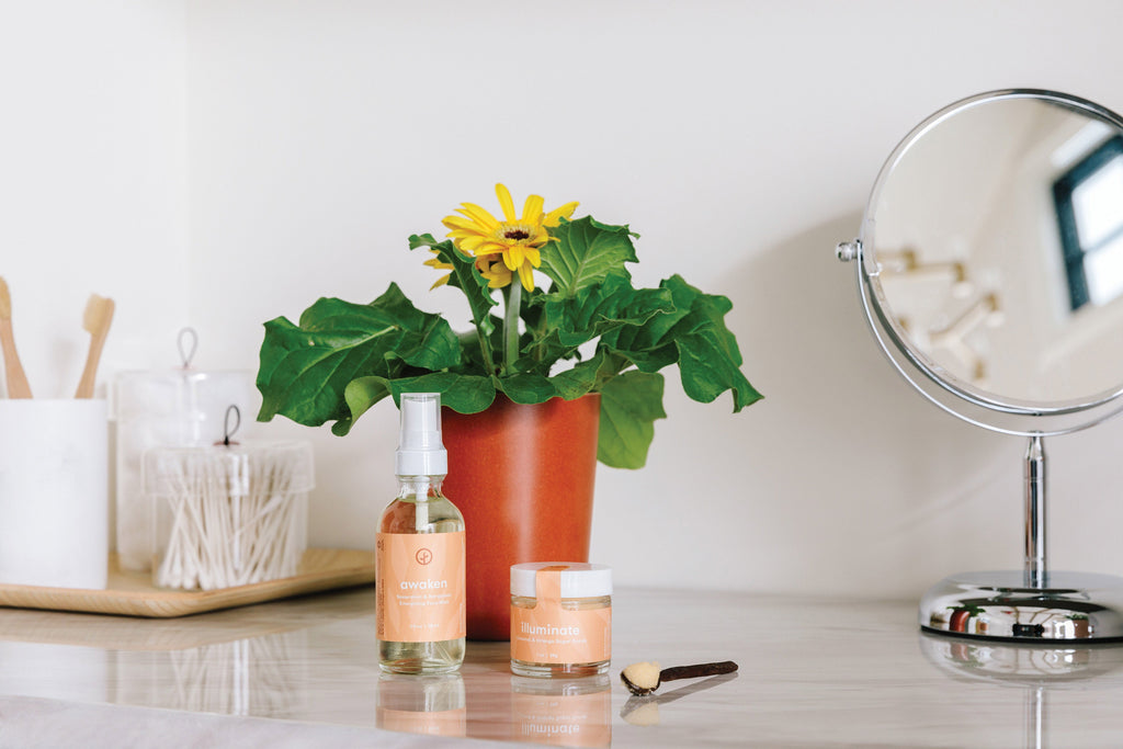 Modern Sprout Shine Bright - Radiant Positivity Kit