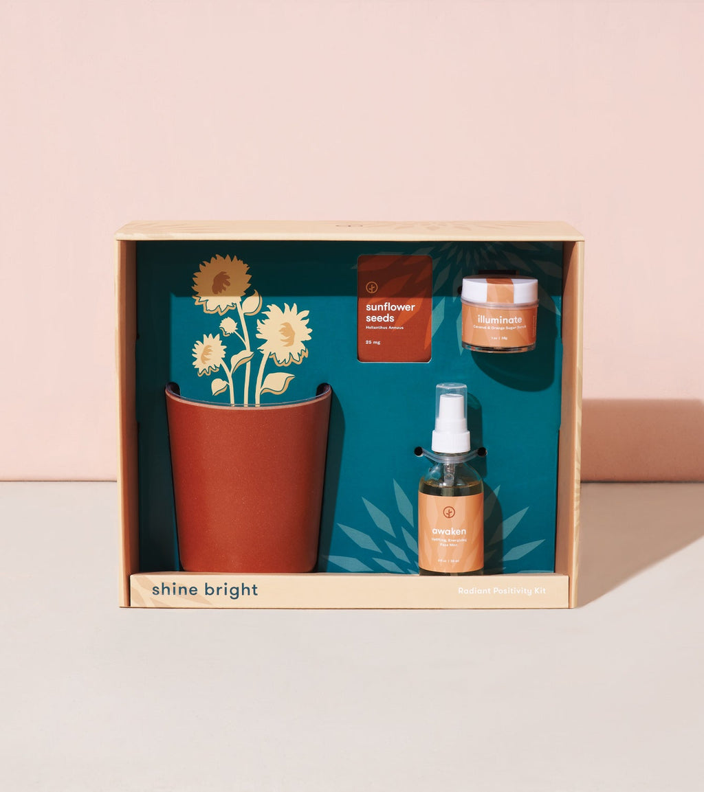 Modern Sprout Shine Bright - Radiant Positivity Kit