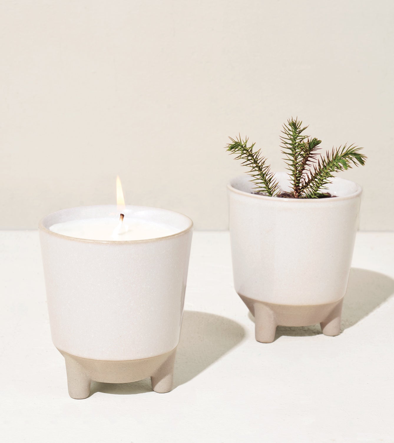 Modern Sprout Glow & Grow Kits