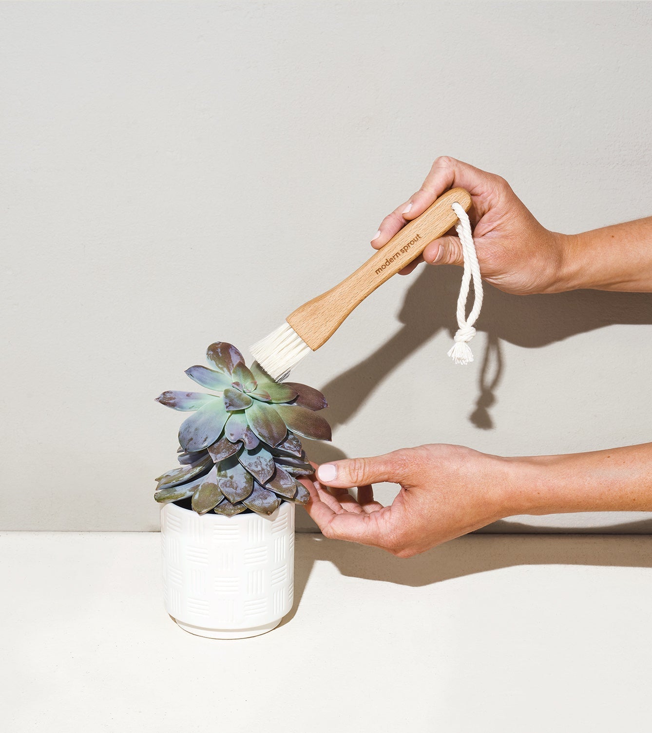 Modern Sprout Plant Parent - Botanical Gift Box Set
