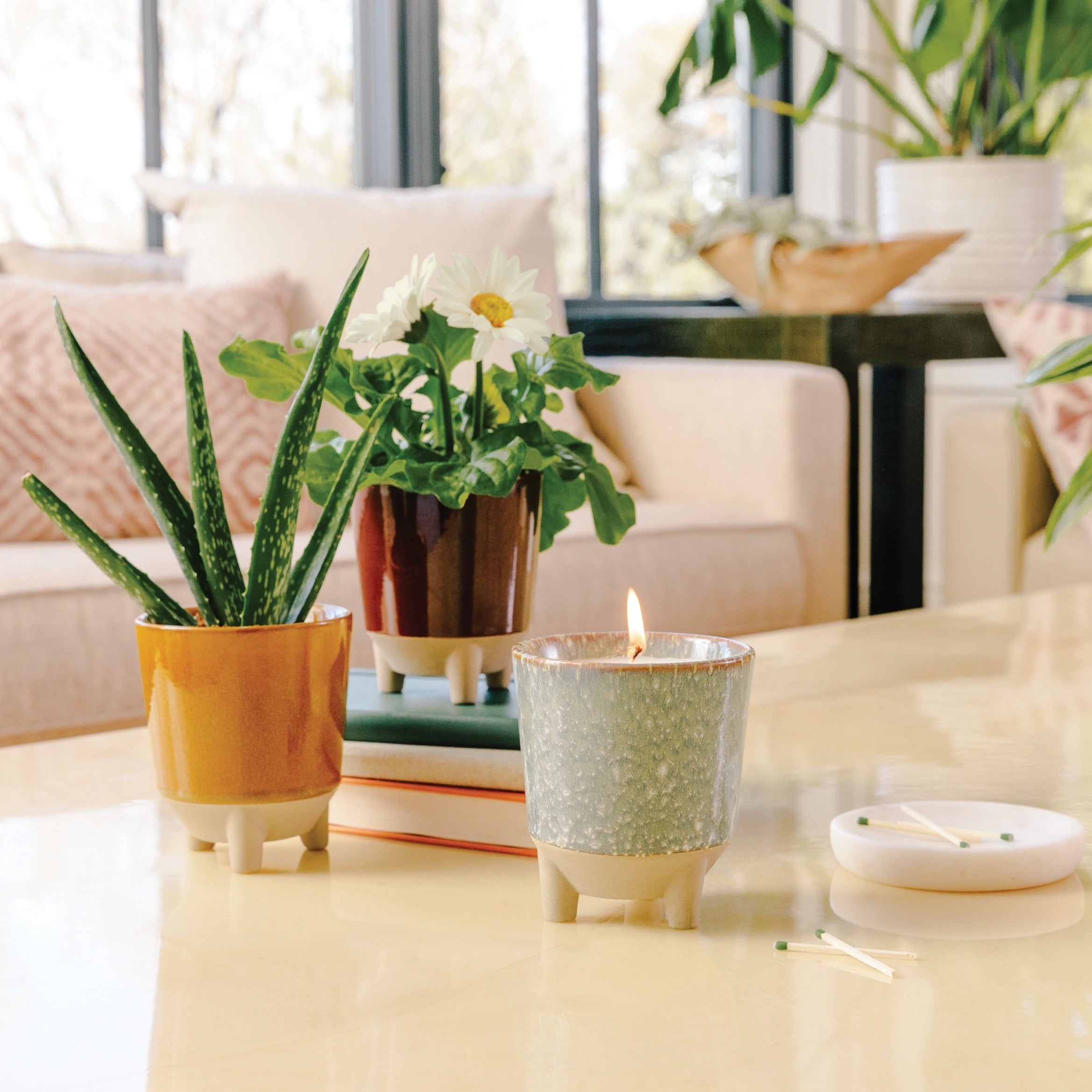 Modern Sprout Glow & Grow Kits