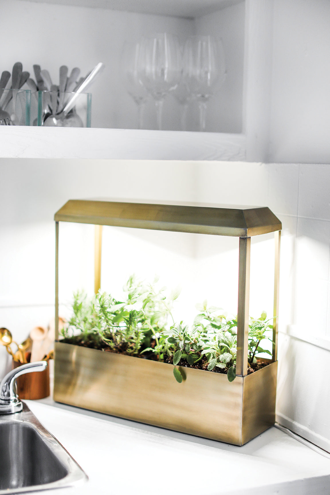 Modern Sprout Smart Growhouse
