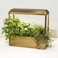 Modern Sprout Smart Growhouse Brass | Heirloom Boulevard