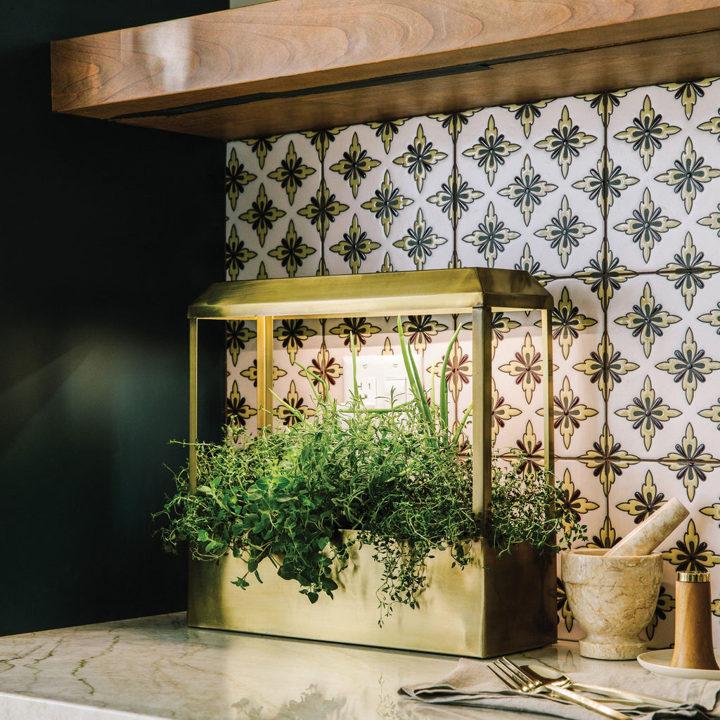 Modern Sprout Smart Growhouse | Heirloom Boulevard