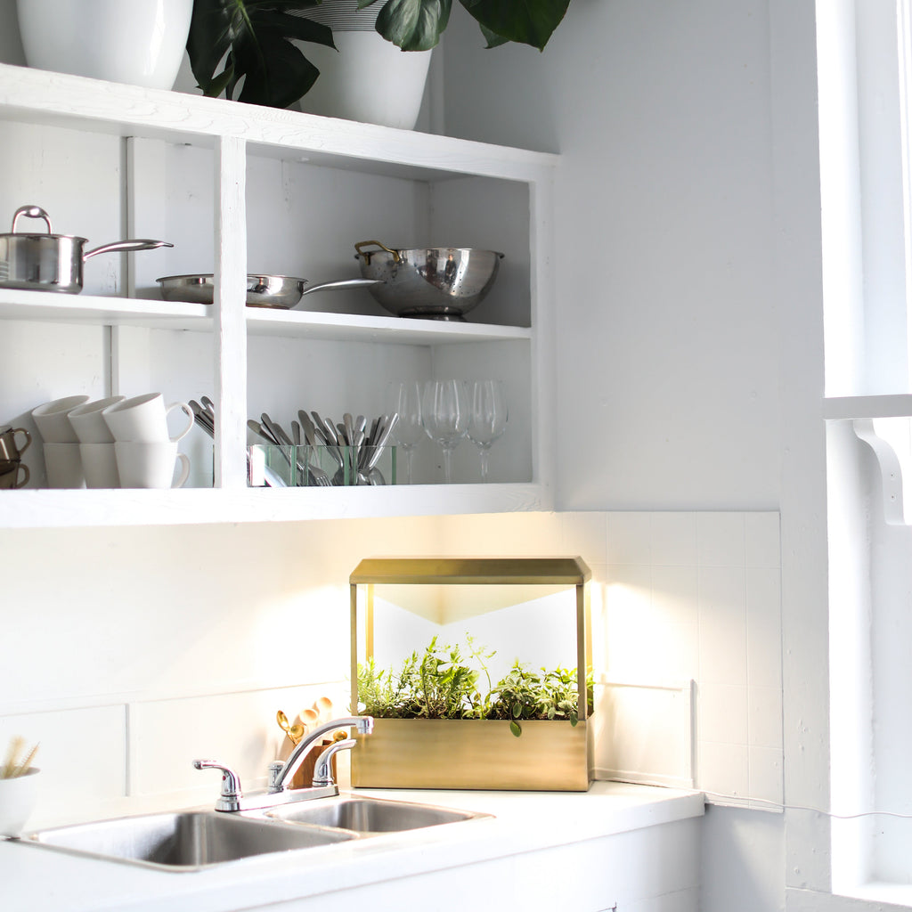 Modern Sprout Smart Growhouse | Heirloom Boulevard