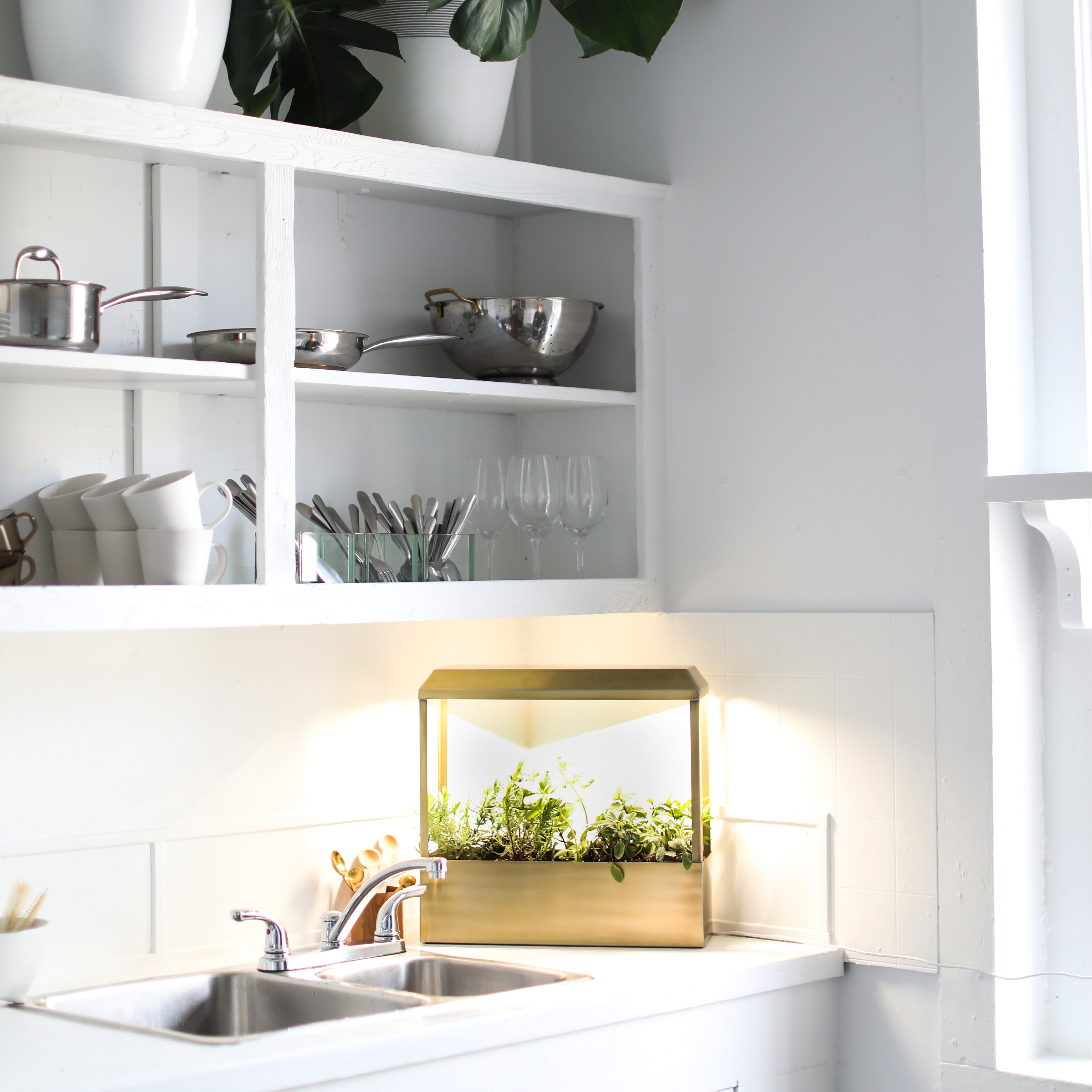 Modern Sprout Smart Growhouse | Heirloom Boulevard