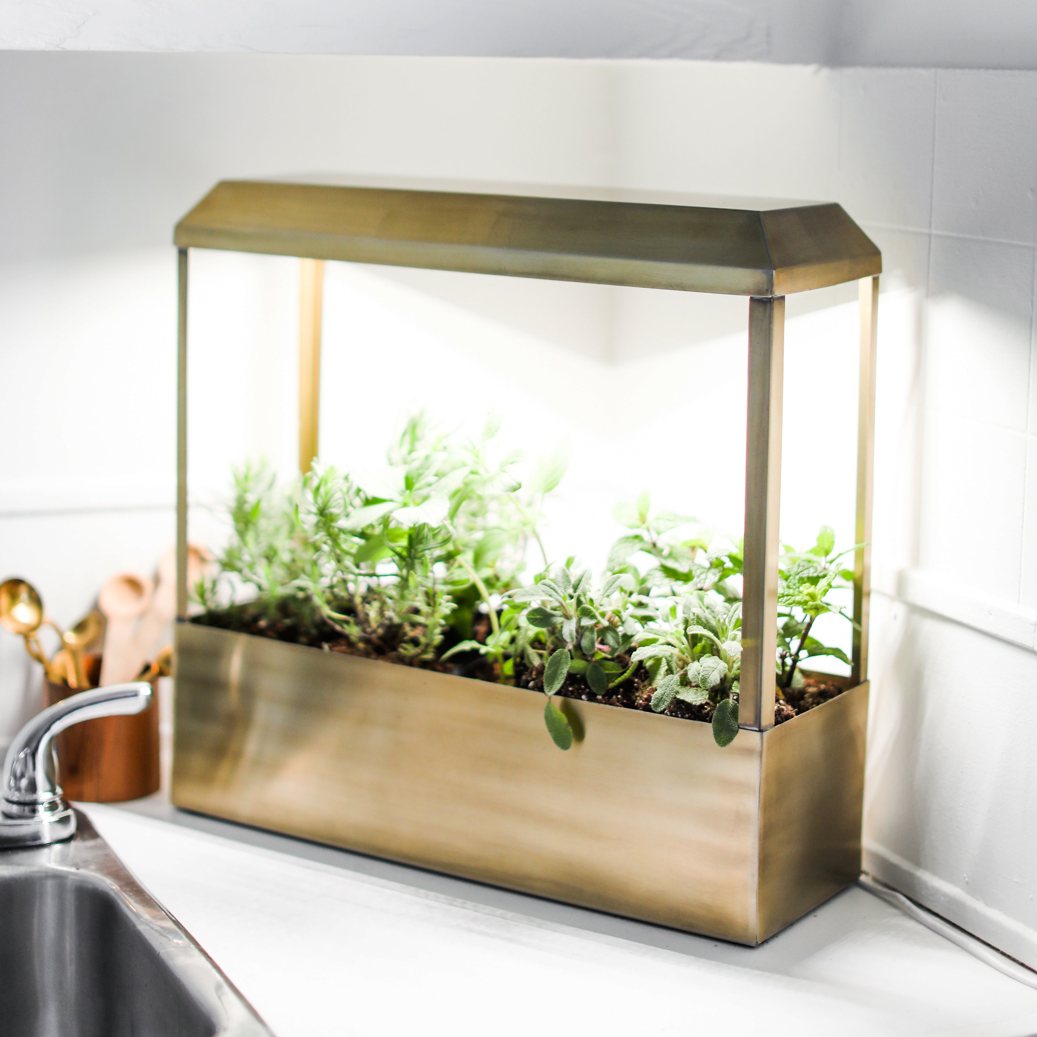 Modern Sprout Smart Growhouse