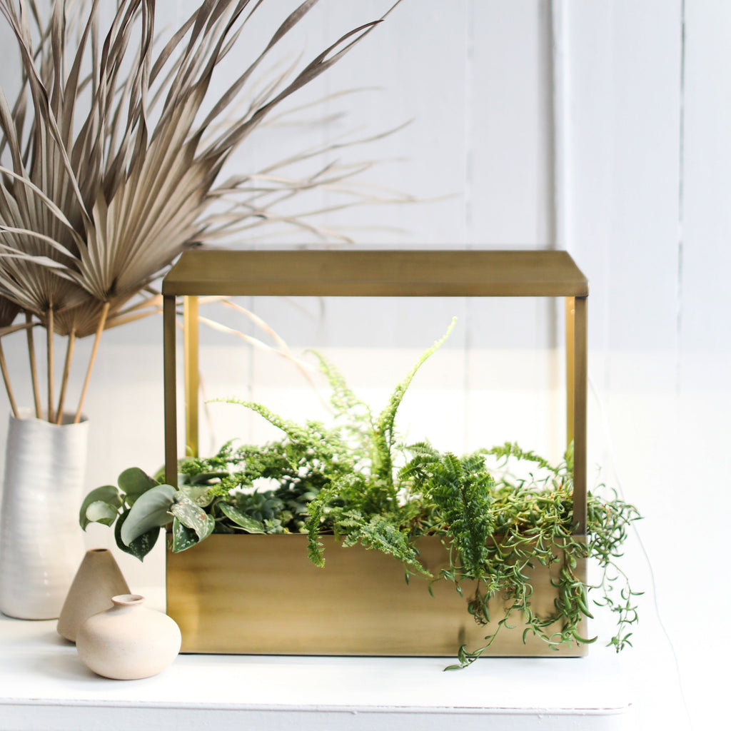 Modern Sprout Smart Growhouse | Heirloom Boulevard