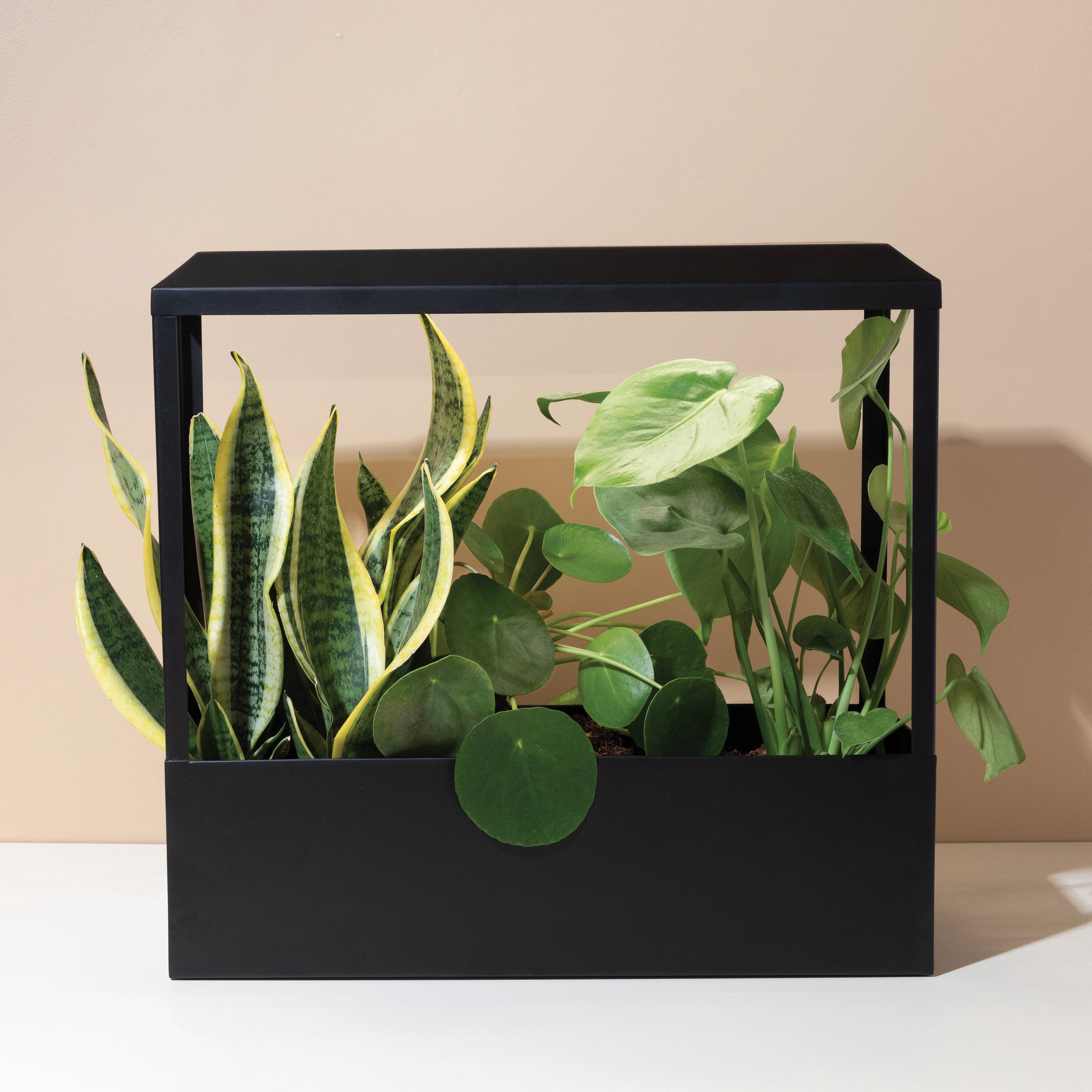 Modern Sprout Smart Growhouse