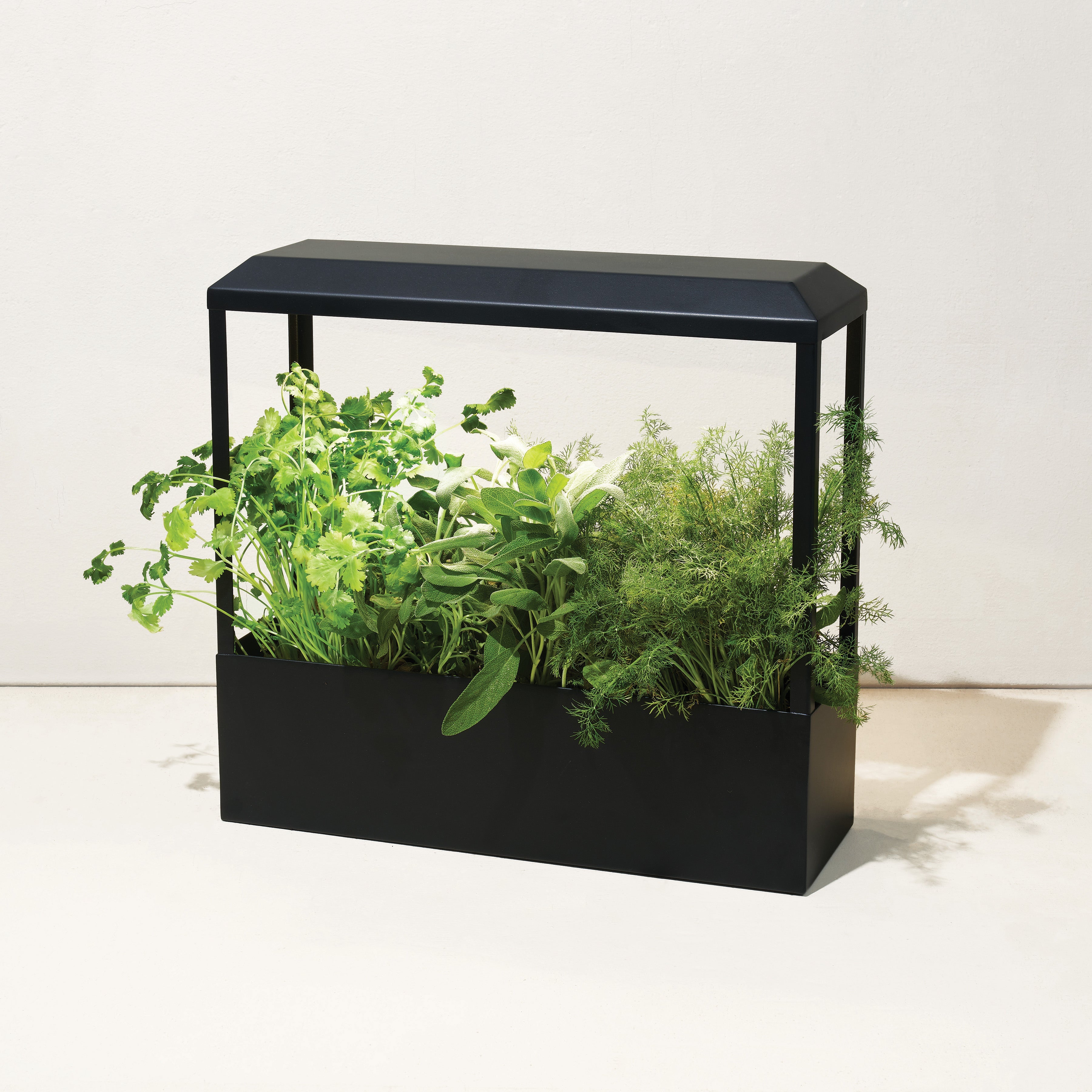 Modern Sprout Smart Growhouse