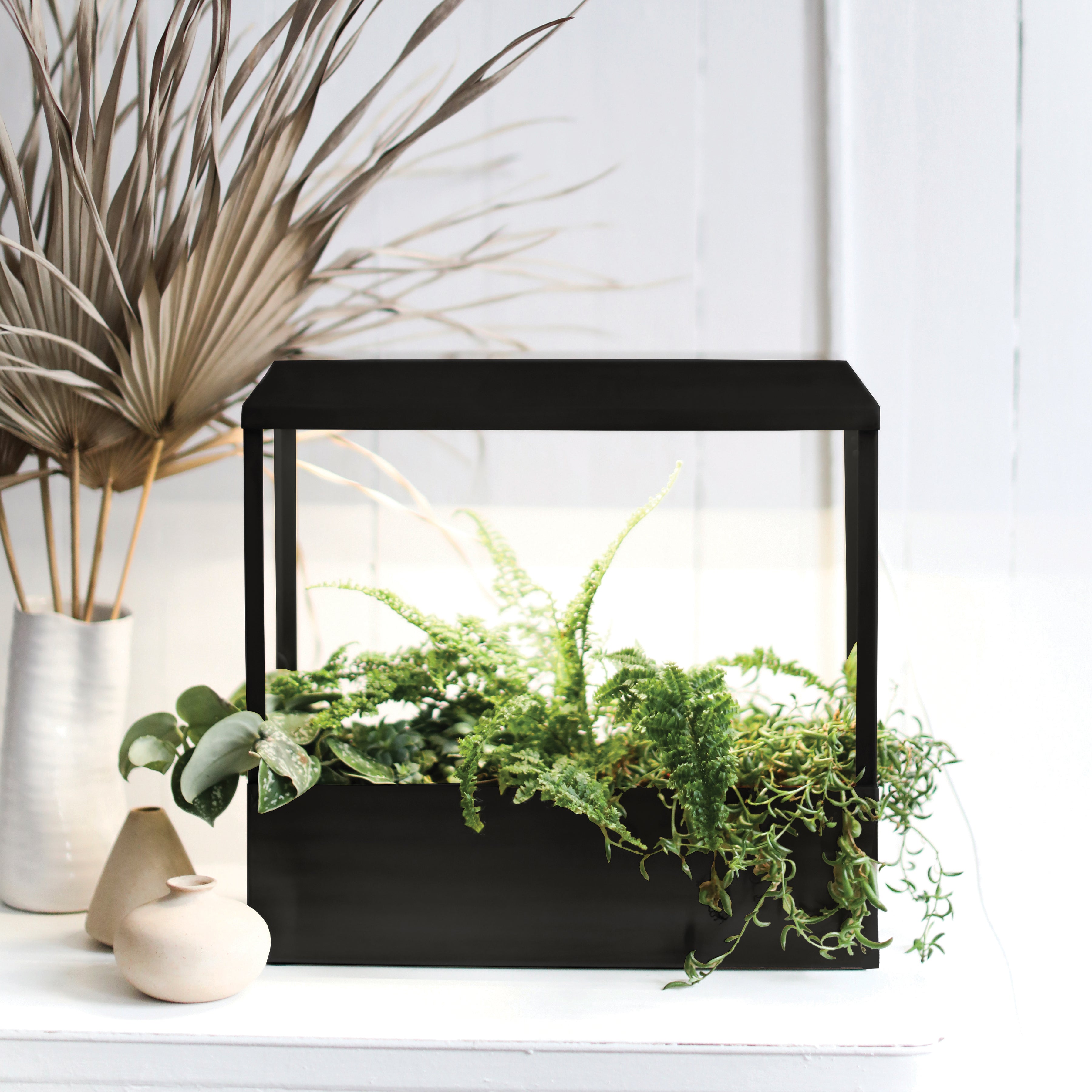 Modern Sprout Smart Growhouse