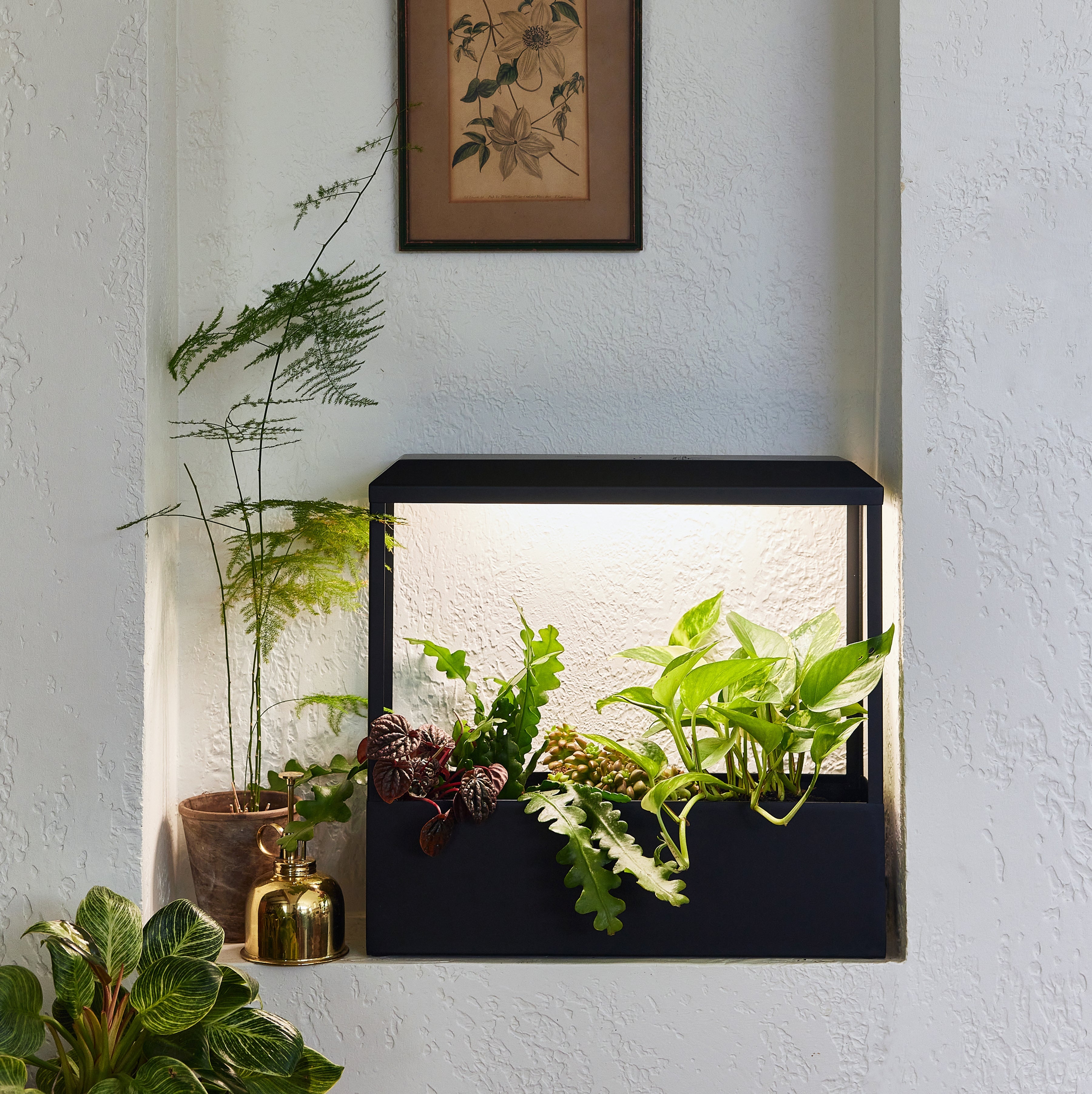 Modern Sprout Smart Growhouse