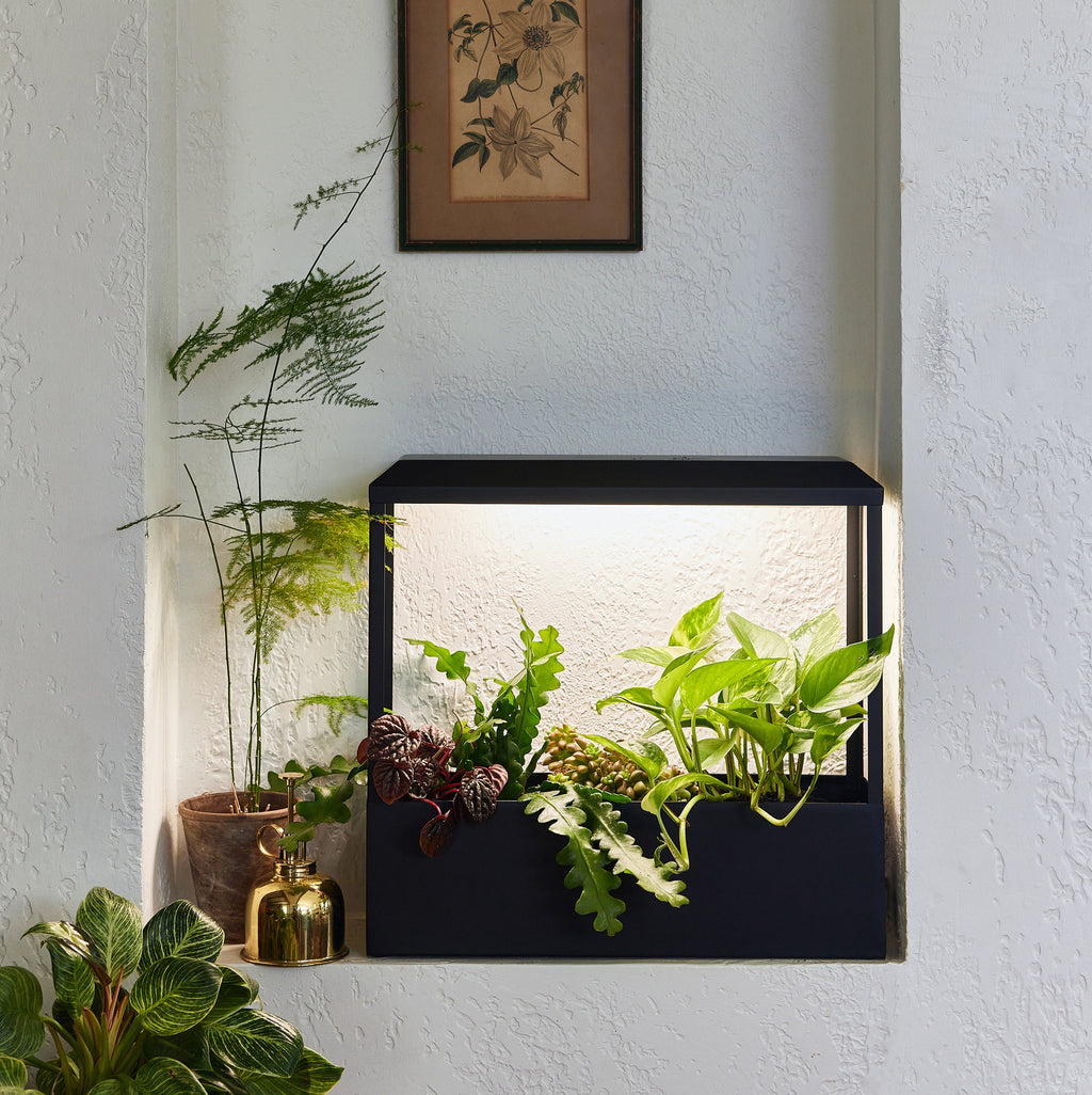 Modern Sprout Smart Growhouse | Heirloom Boulevard