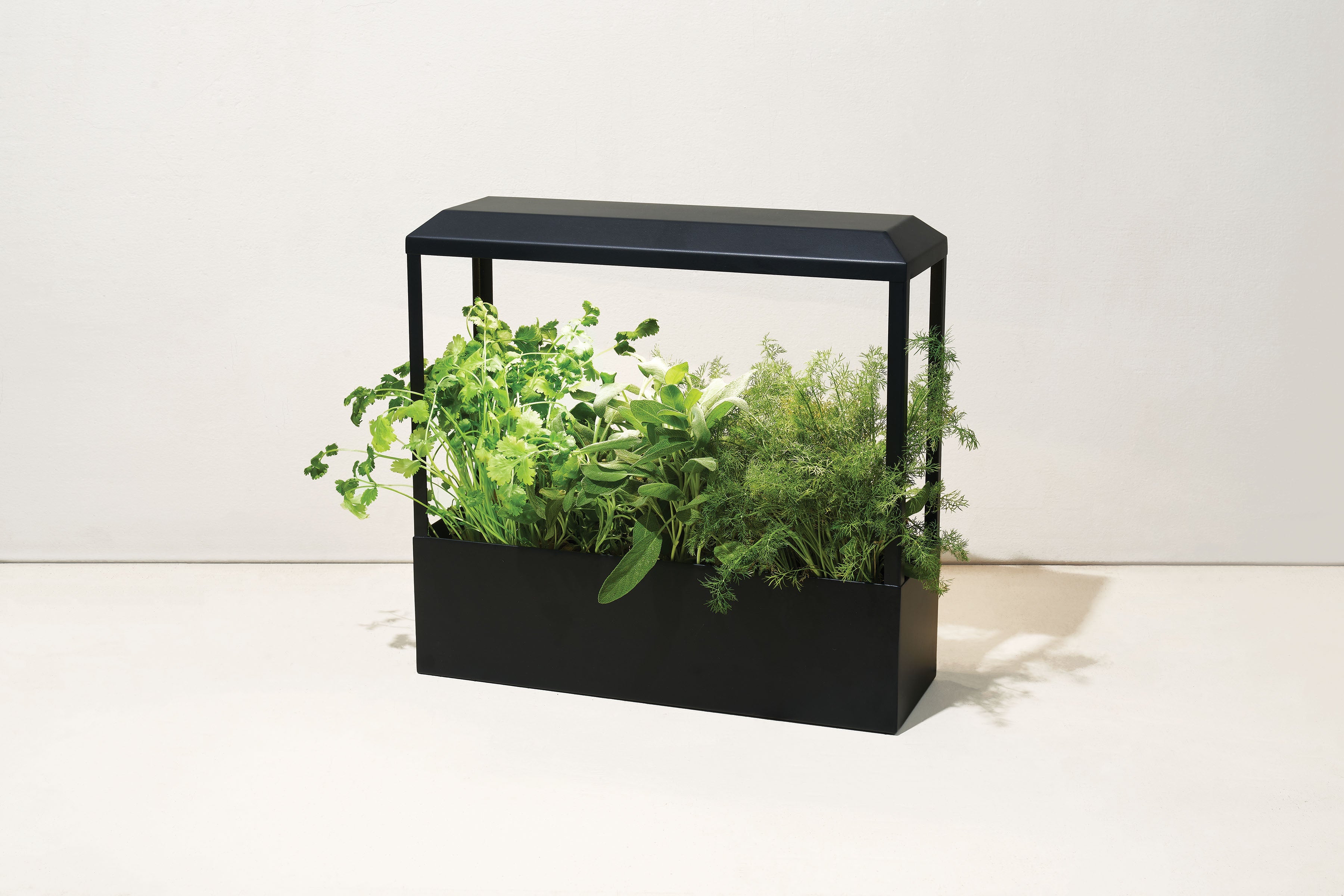 Modern Sprout Smart Growhouse