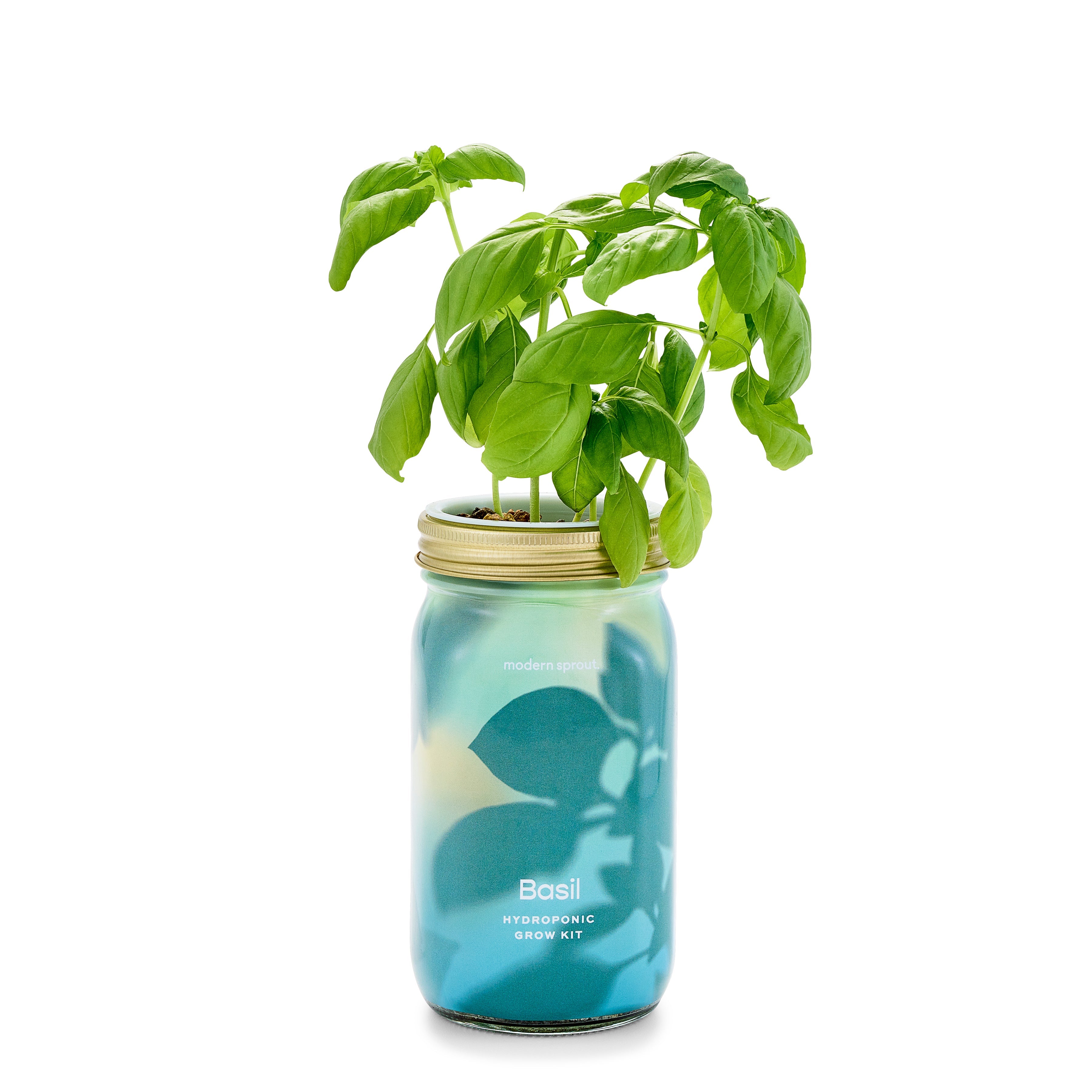 Modern Sprout Garden Jars - Organic Herbs
