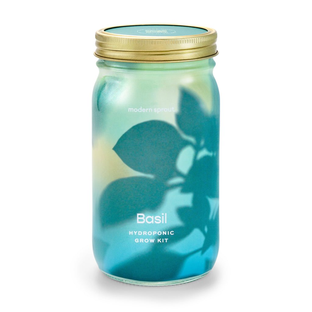 Modern Sprout Garden Jars - Organic Herbs Basil 1pk | Heirloom Boulevard