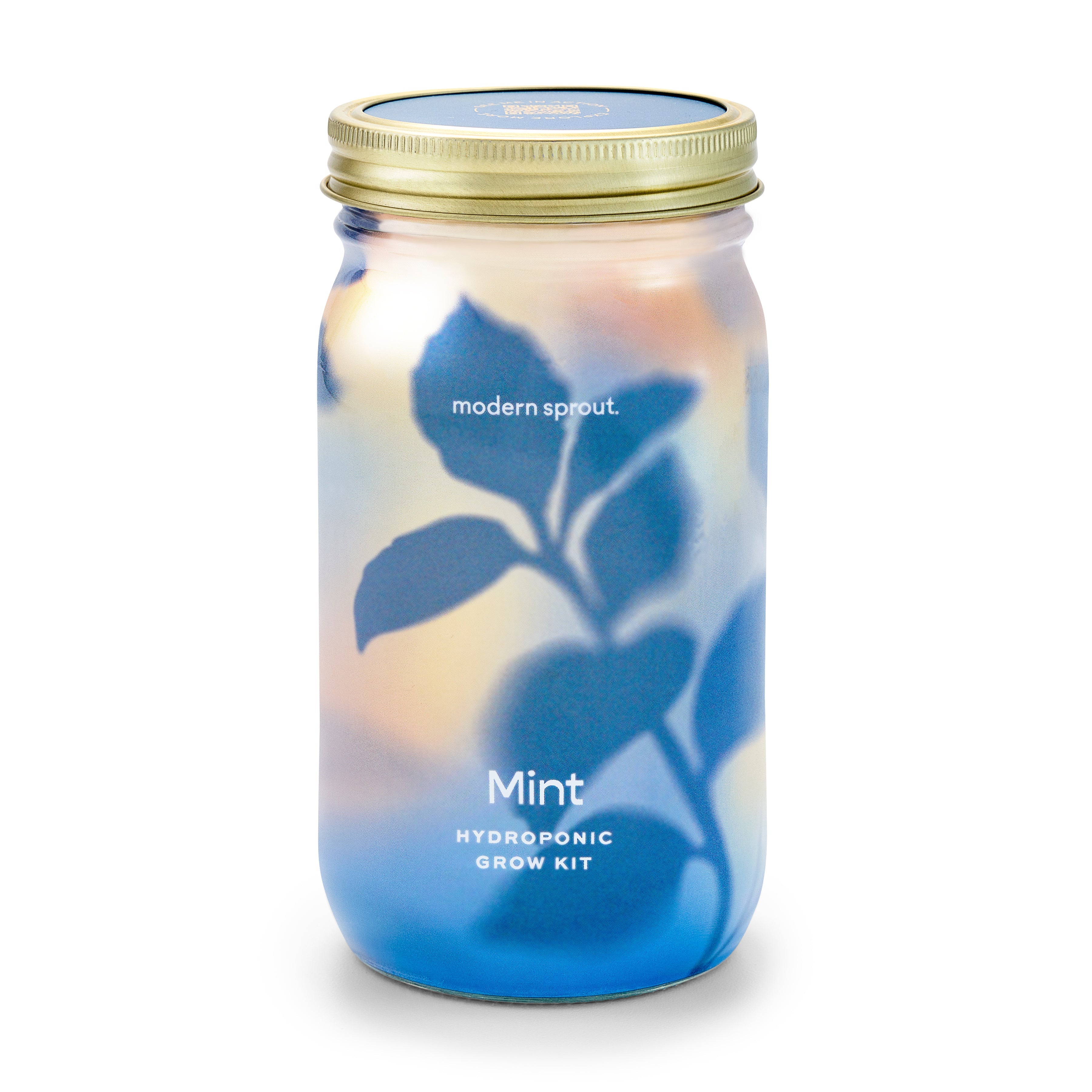 Modern Sprout Garden Jars - Organic Herbs