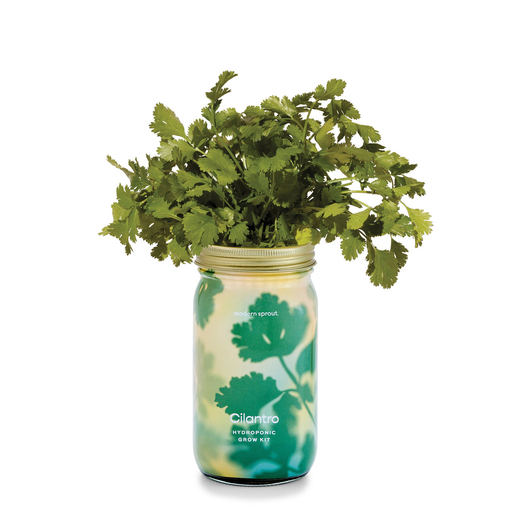 Modern Sprout Garden Jars - Organic Herbs