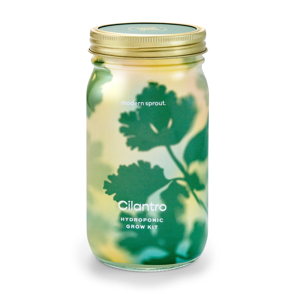 Modern Sprout Garden Jars - Organic Herbs